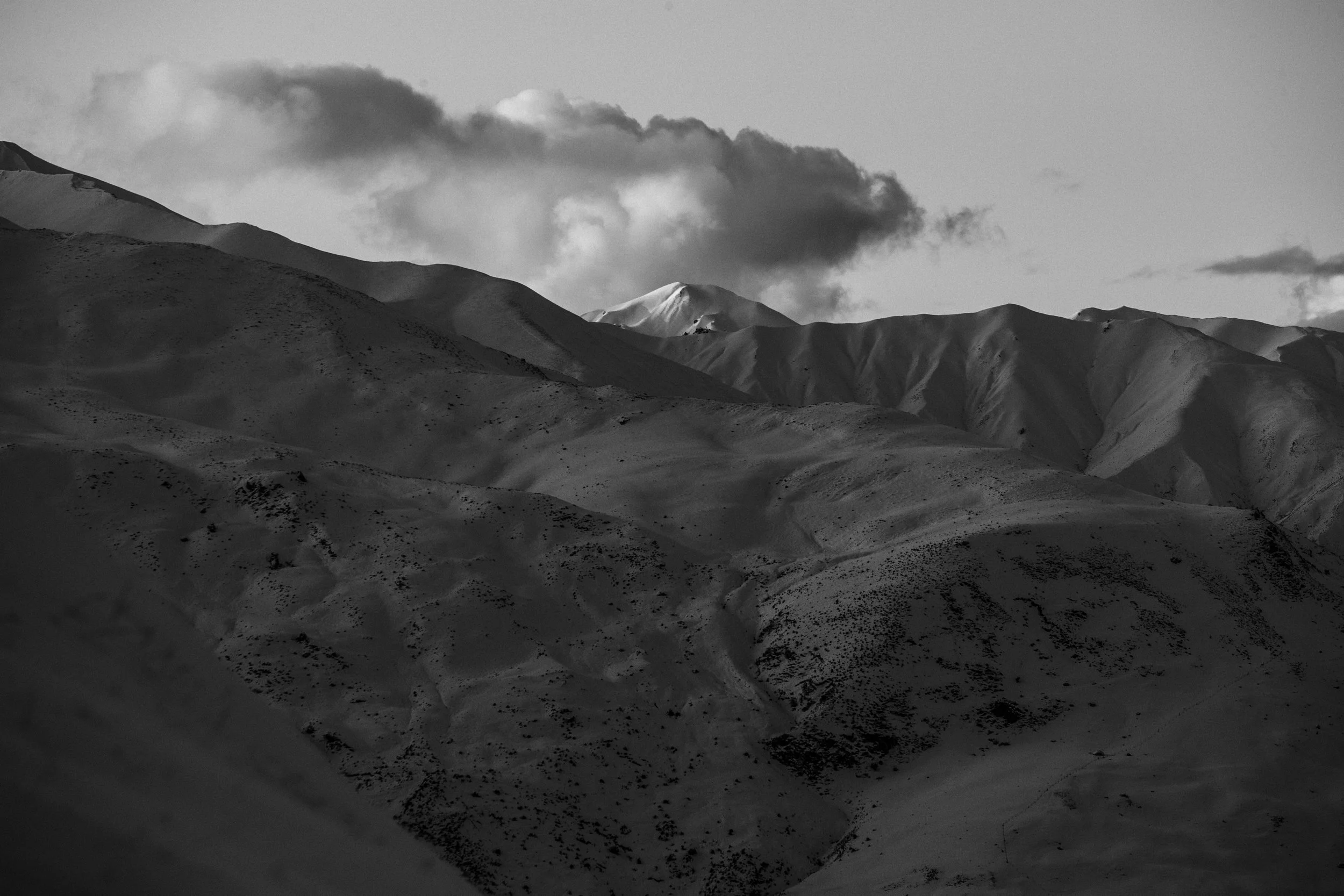 _C8I1494.jpg