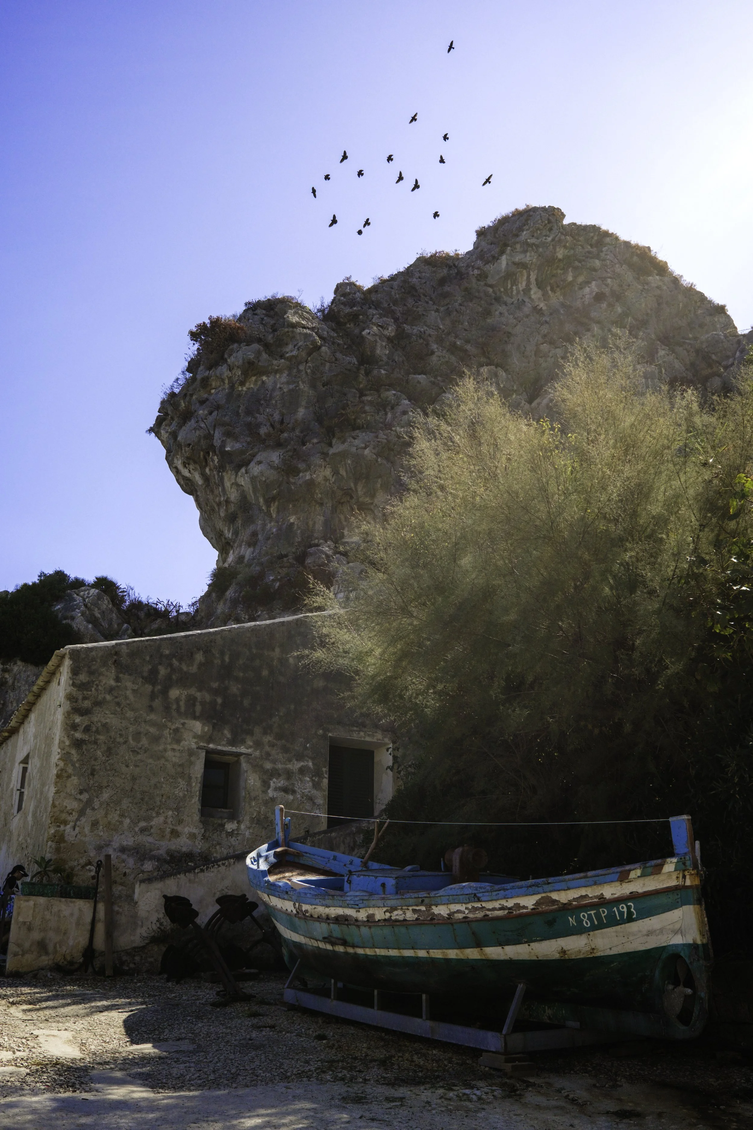 DSCF5791.jpg