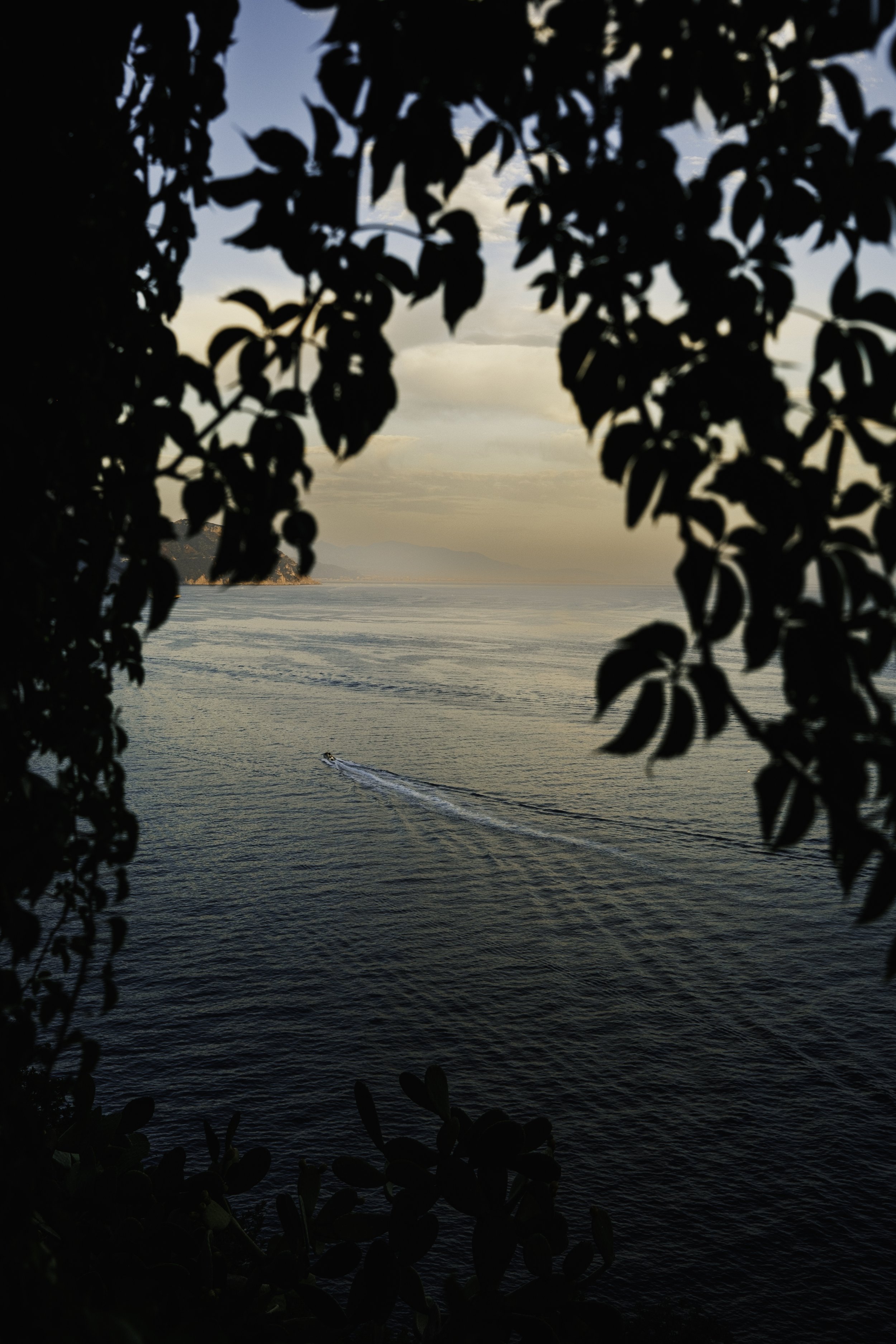 DSCF6335.jpg
