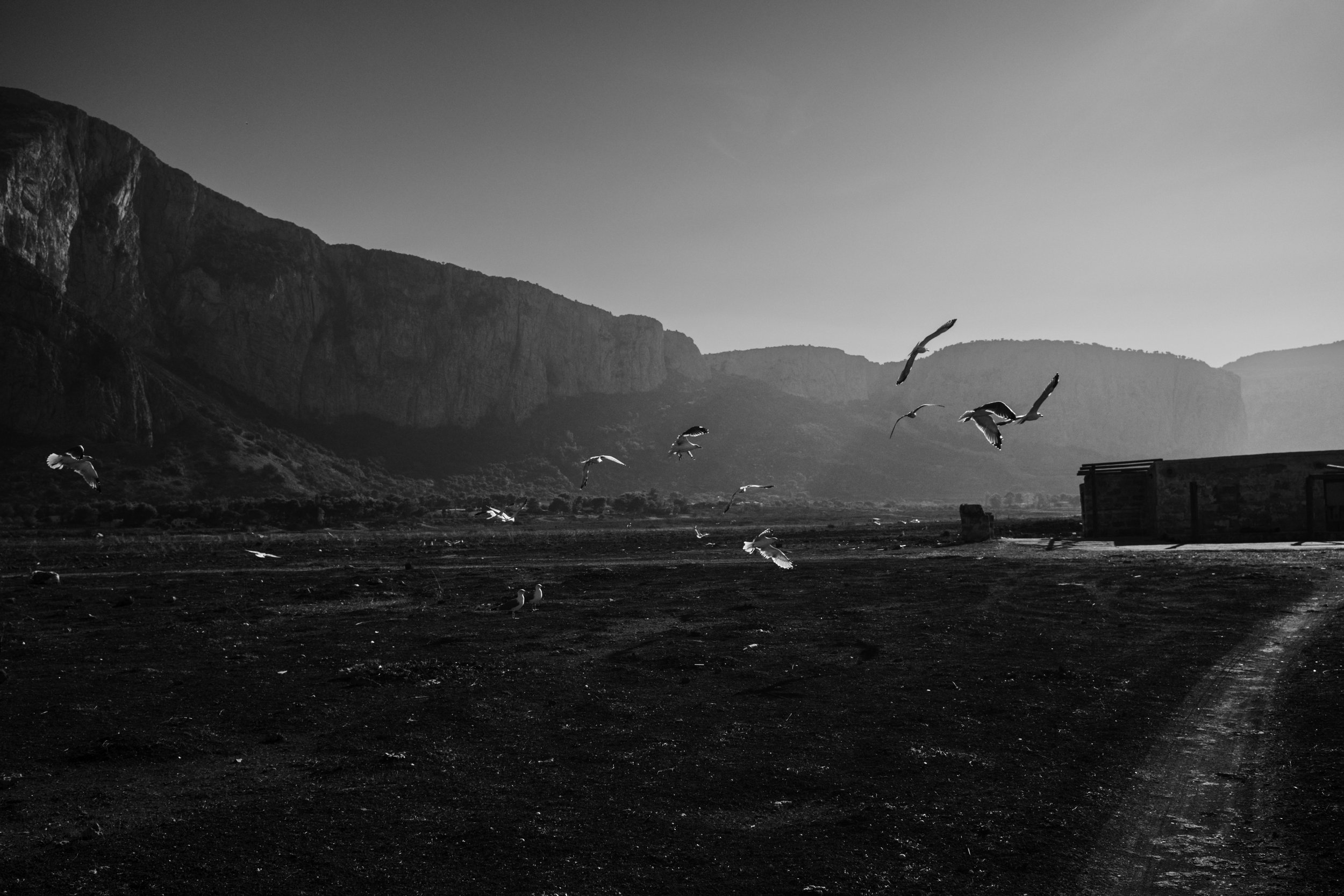 DSCF5735.jpg