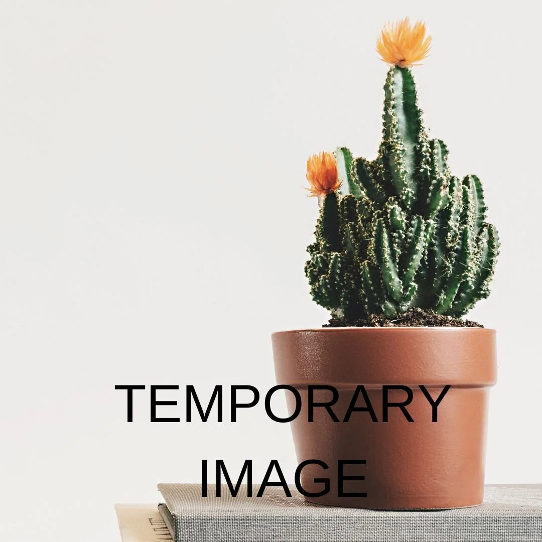 TEMPORARY POHTO (1).jpg