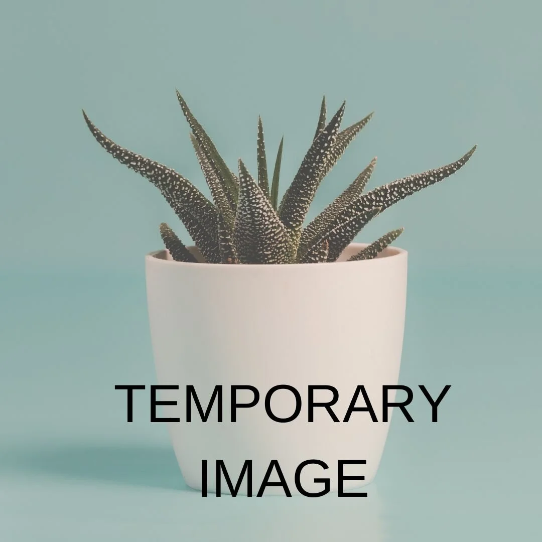 TEMPORARY POHTO (2).jpg