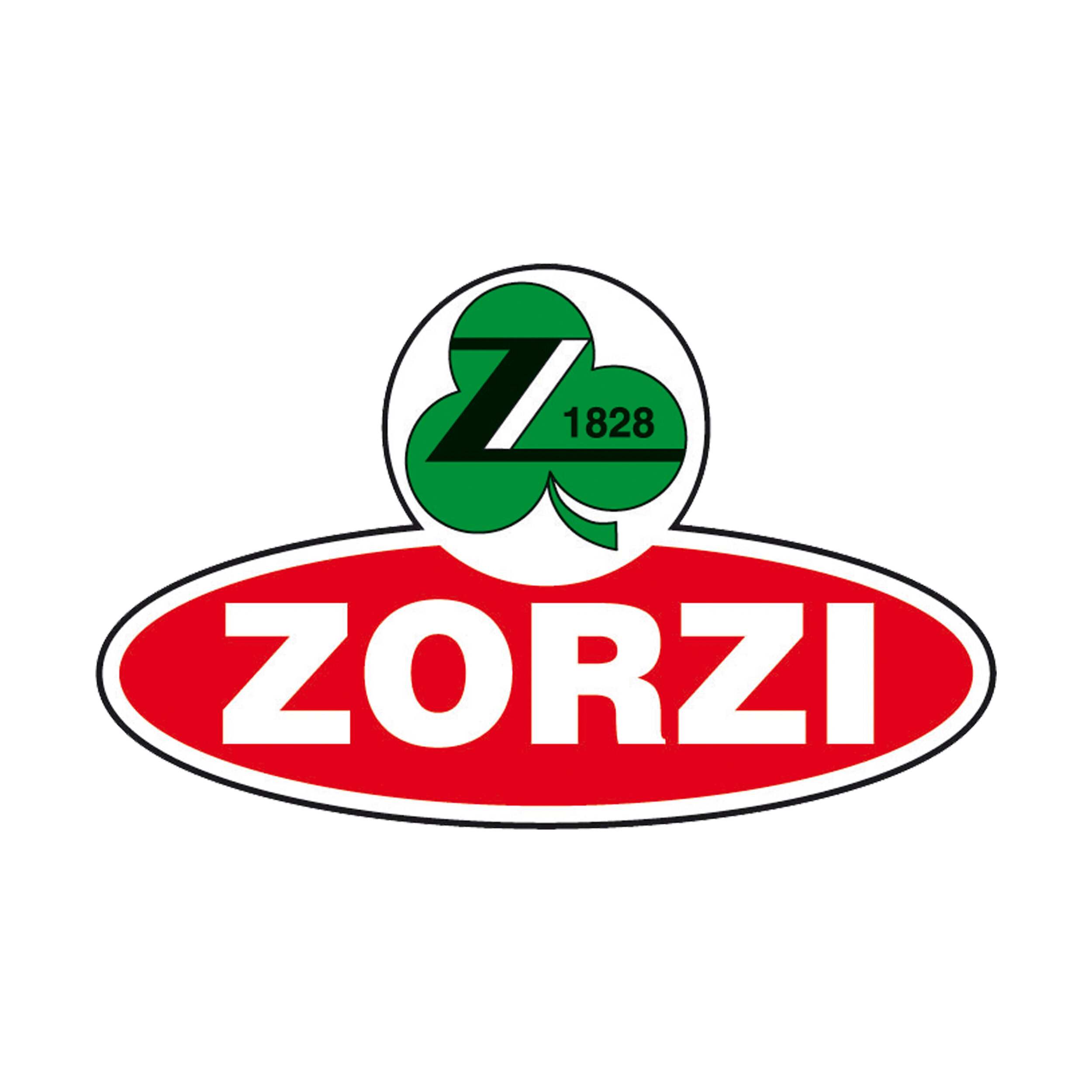 zorsi website carousel.jpg