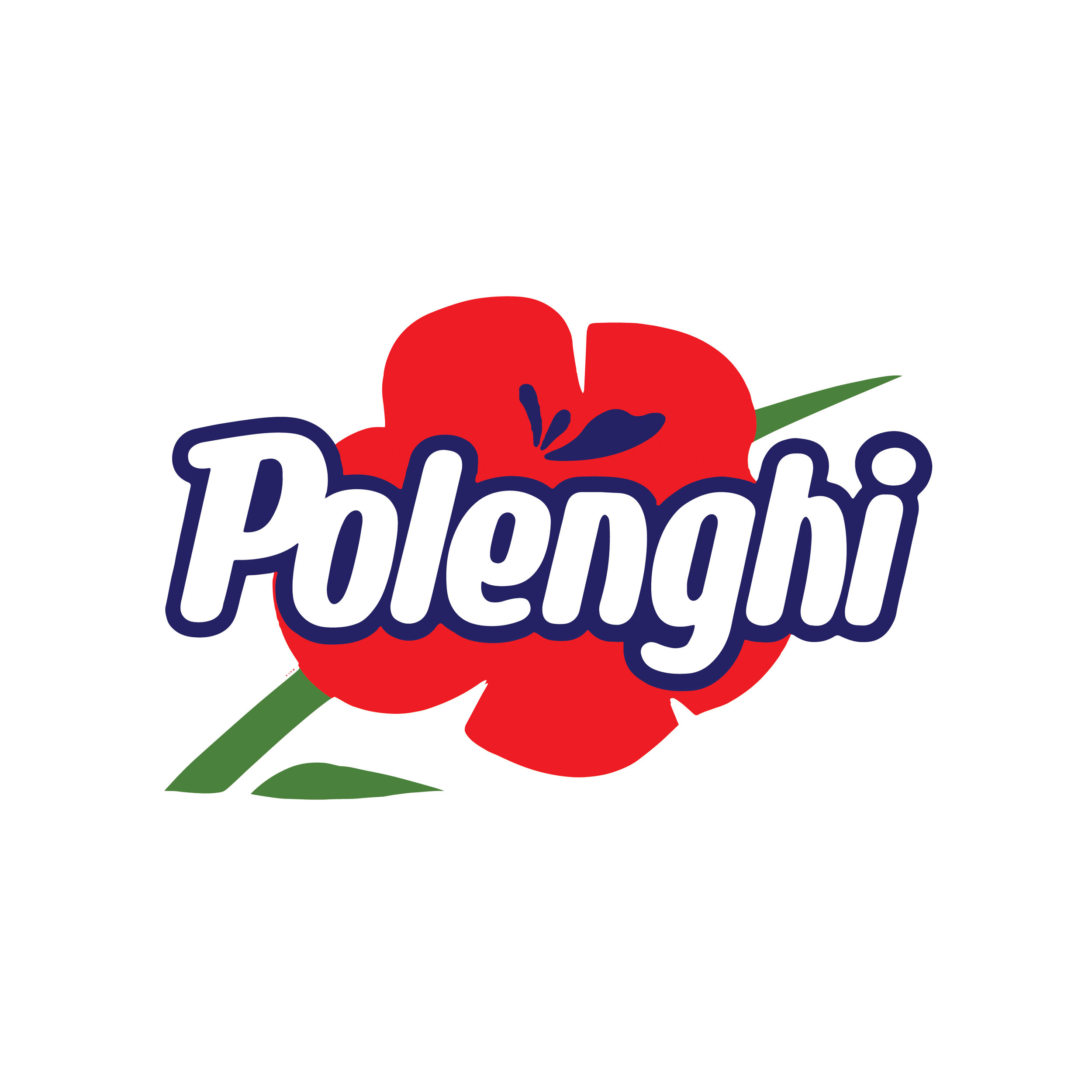 Polenghi website carousel.jpg