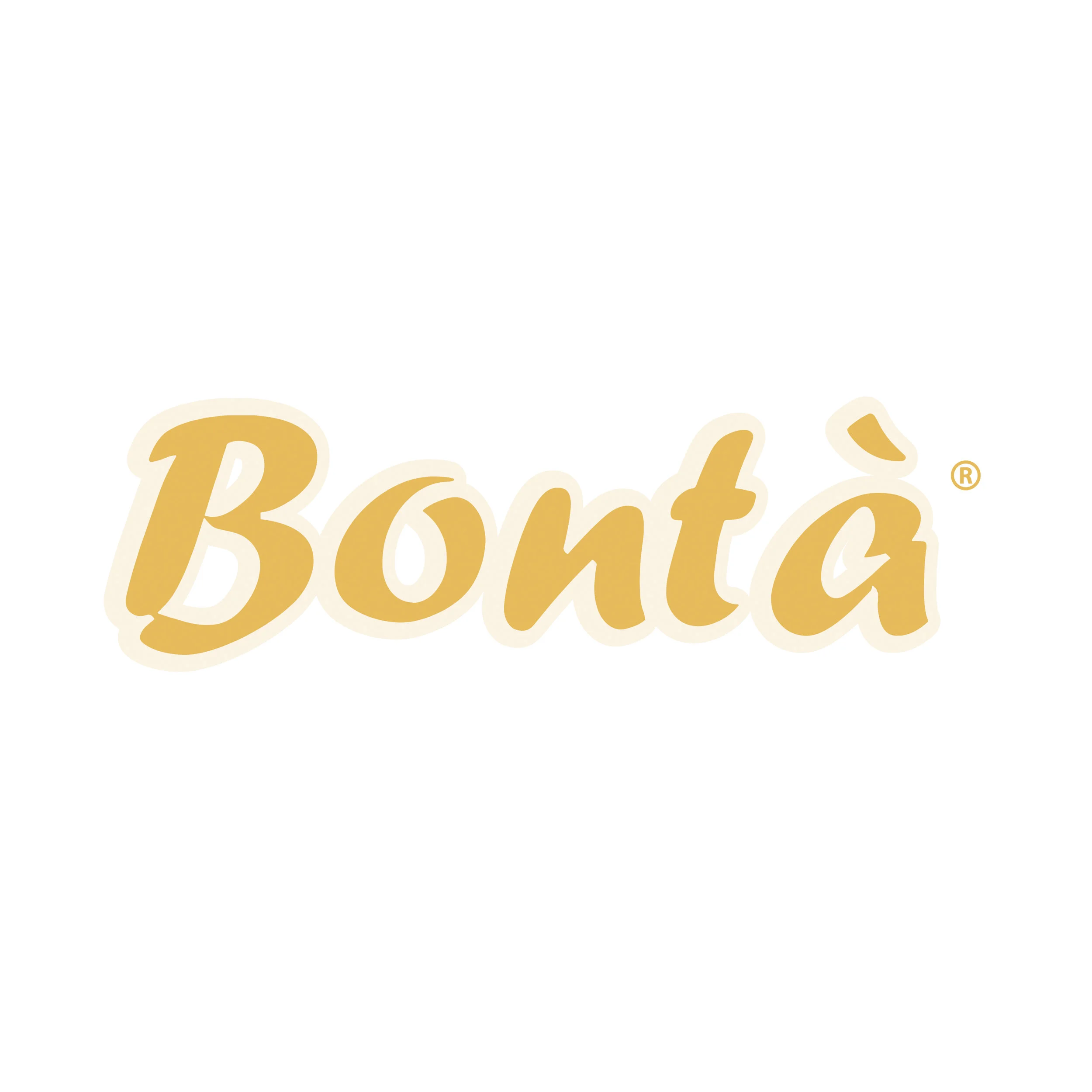 Bonta website carousel.jpg