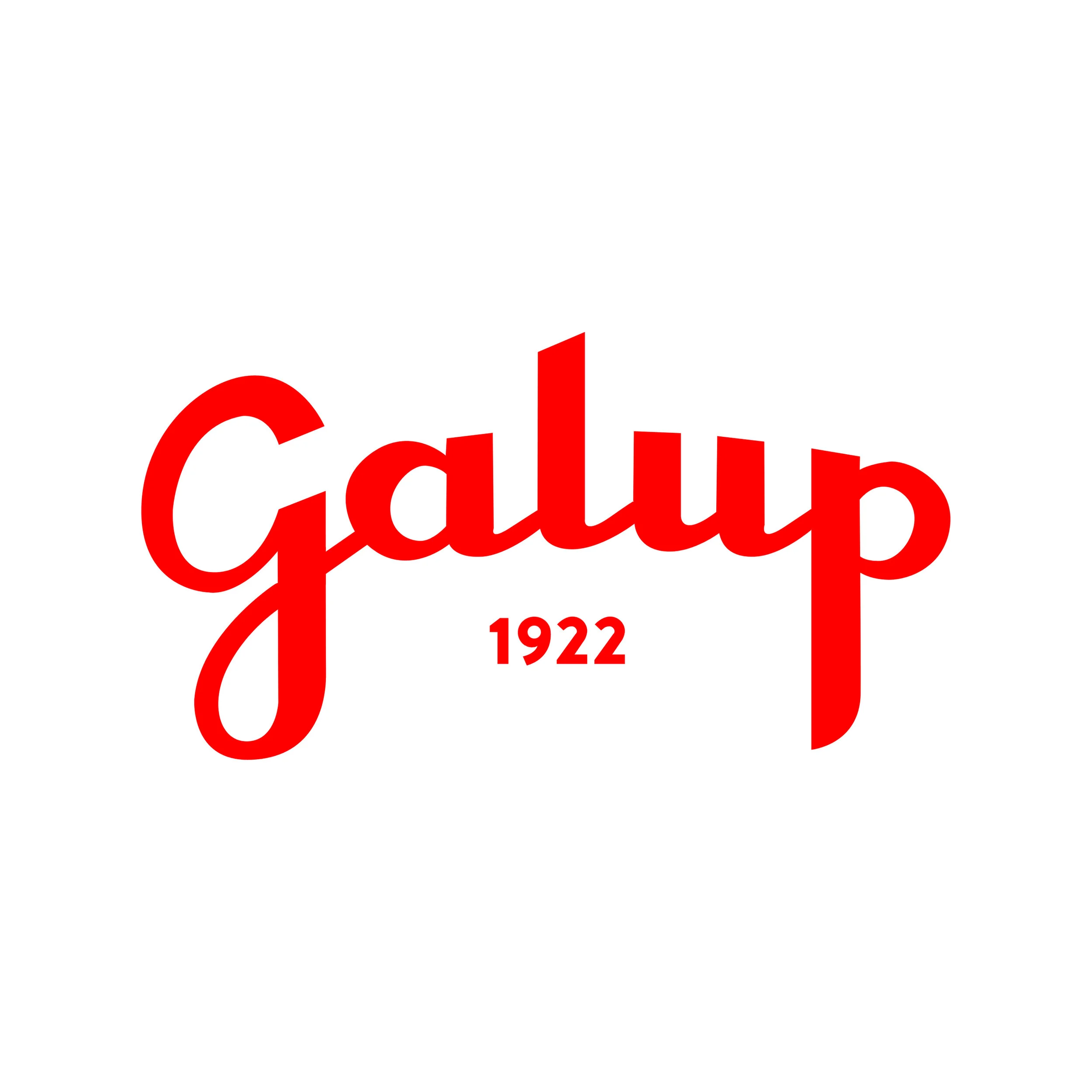 Galup - seasonal festive cakes and biscuits