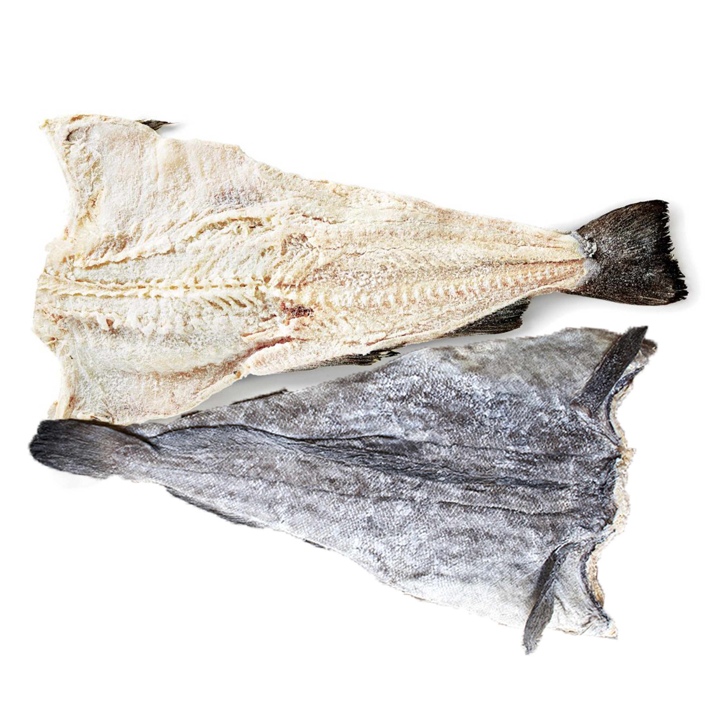 P9- FP1418 cod bone + Skin.jpg