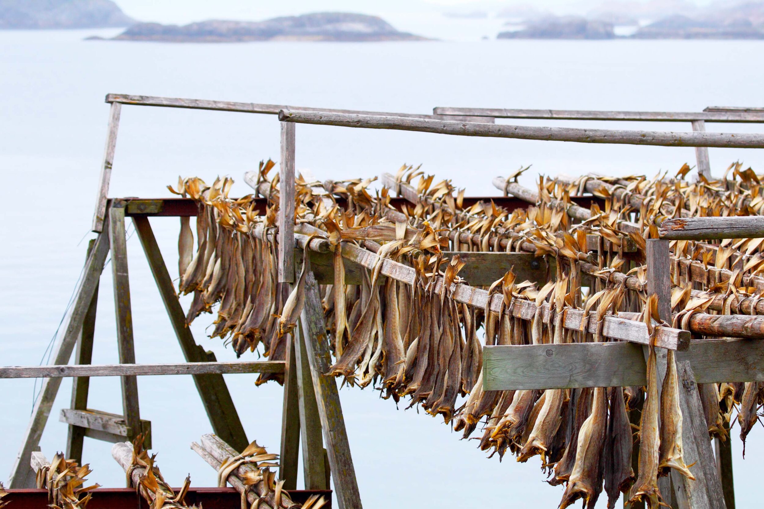 Norwegian Stock Fish Dried Cod Bon Food