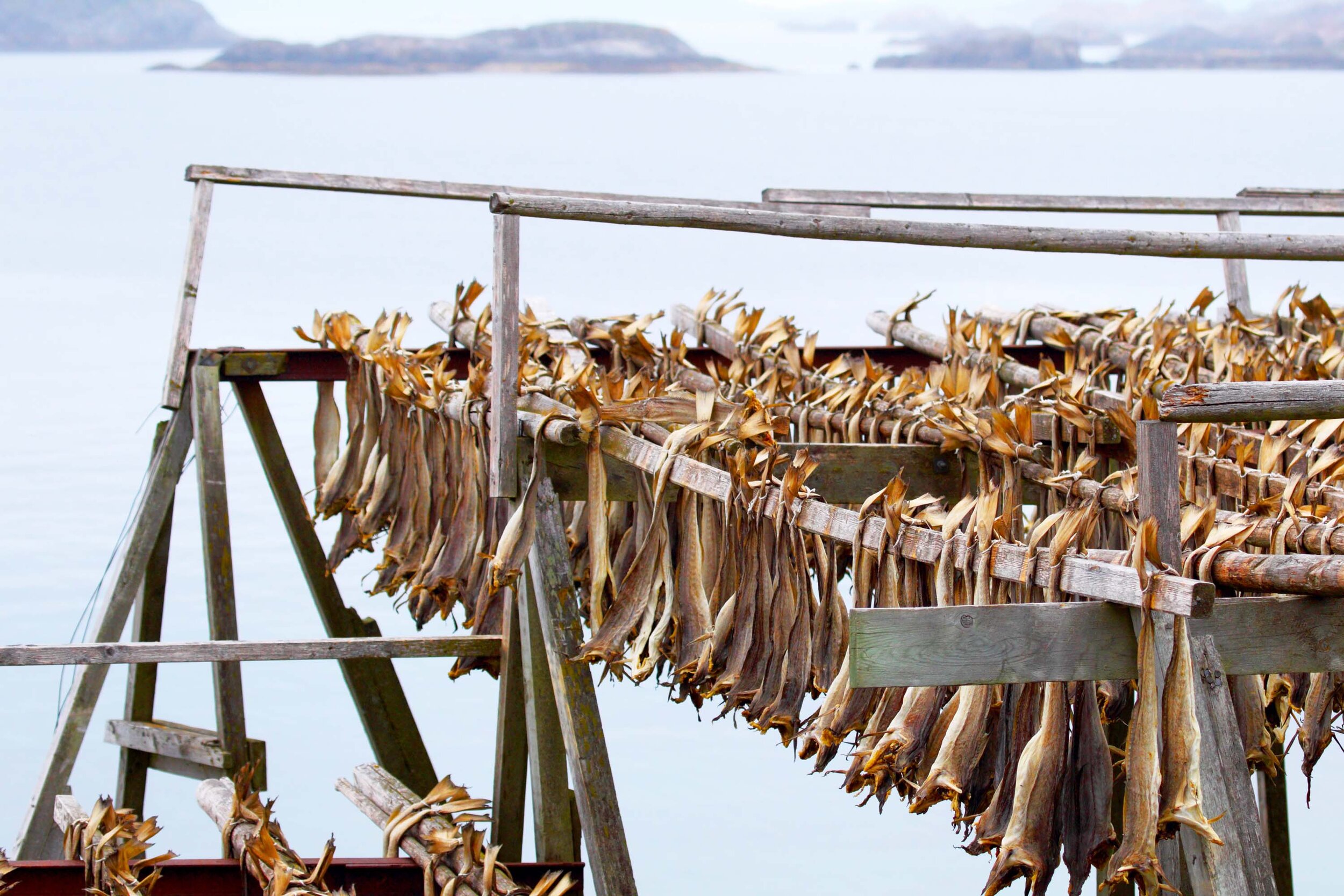 Norwegian stock fish - dried Cod — Bon Food