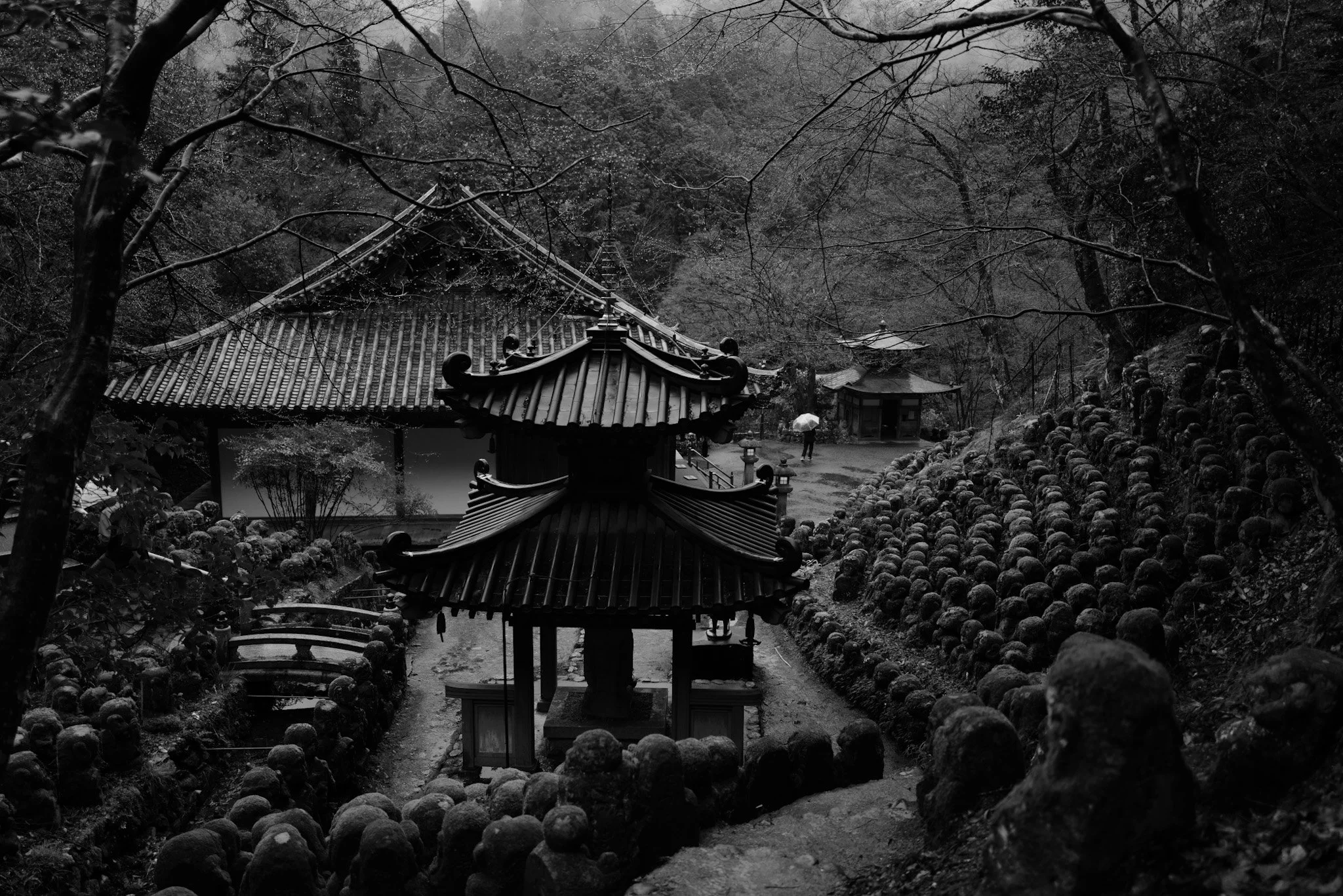 L1001523.JPG