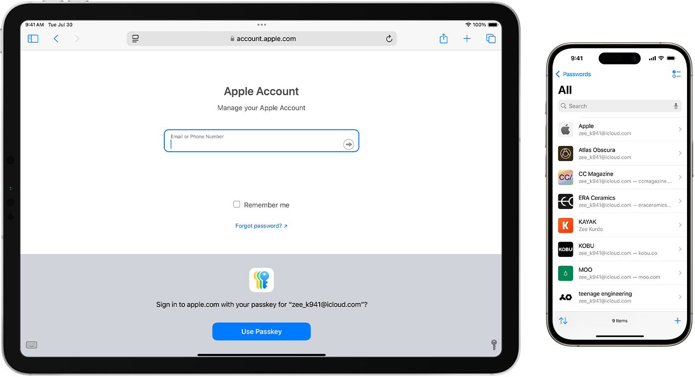 Apple password manager.