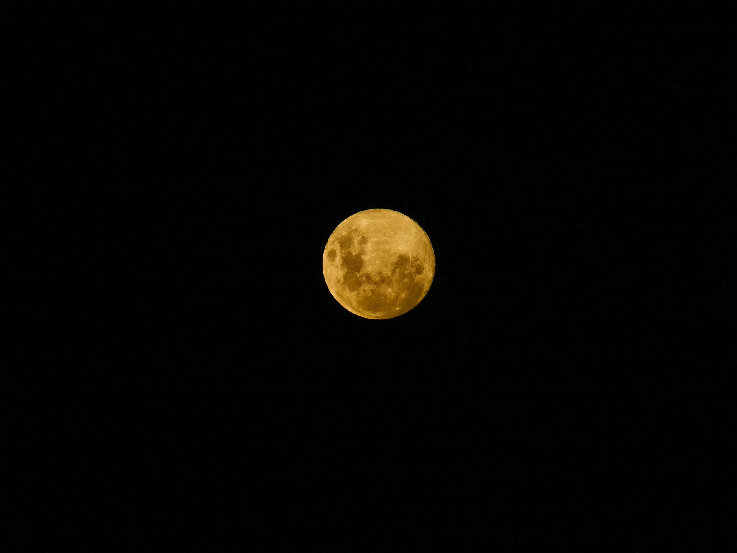 P1480102.jpeg