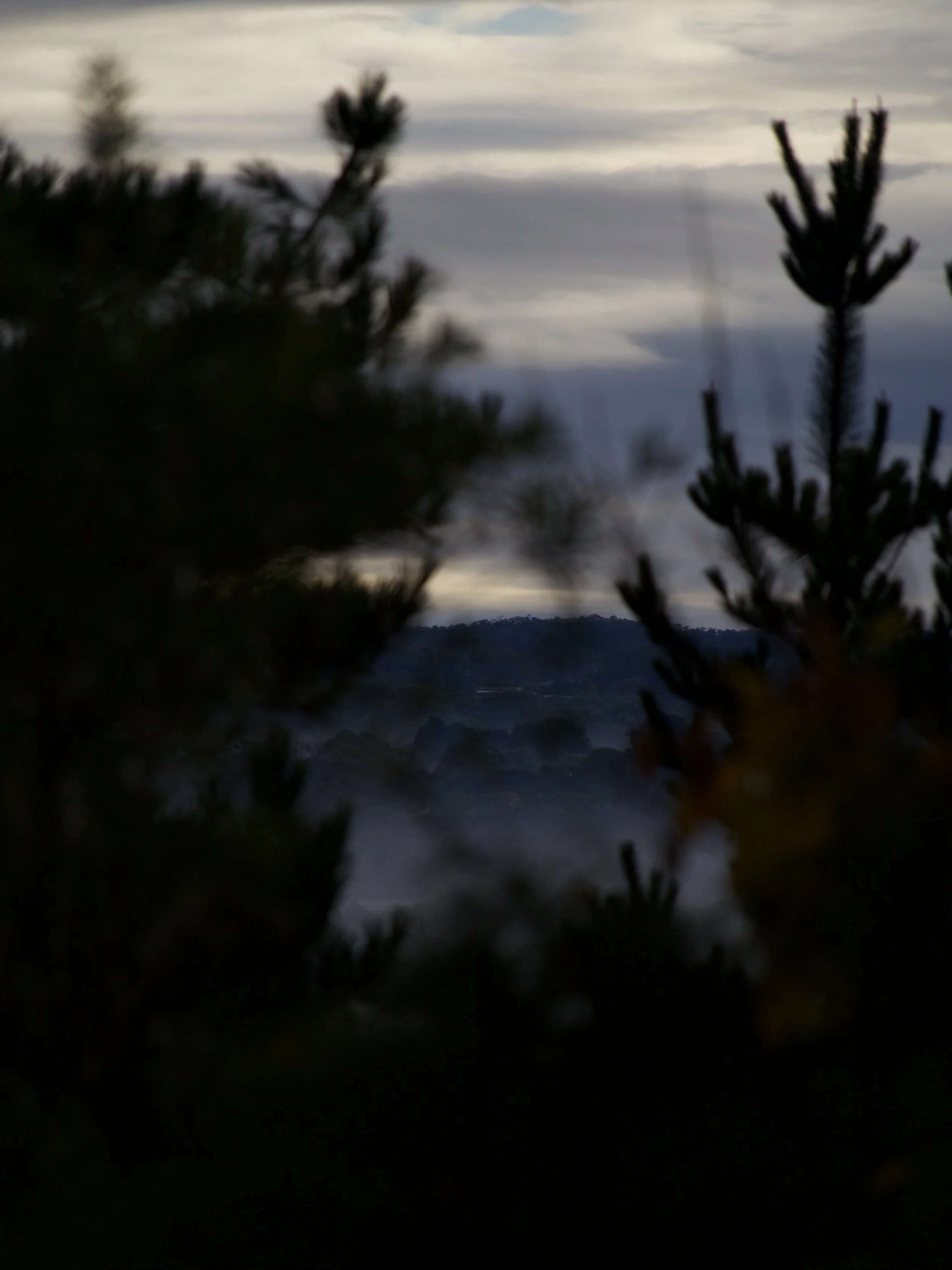 P1480573.jpeg