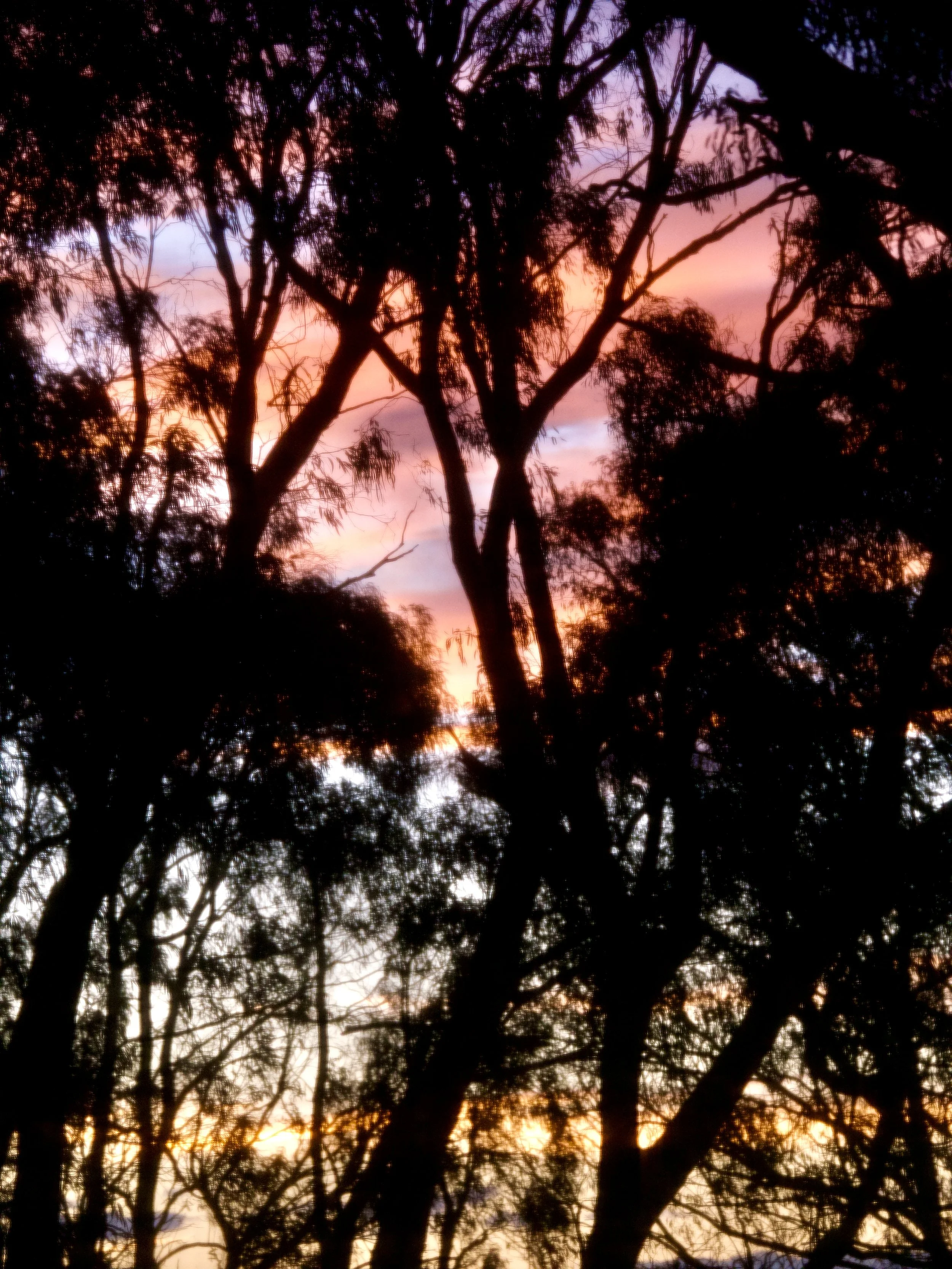 P1460198.jpeg