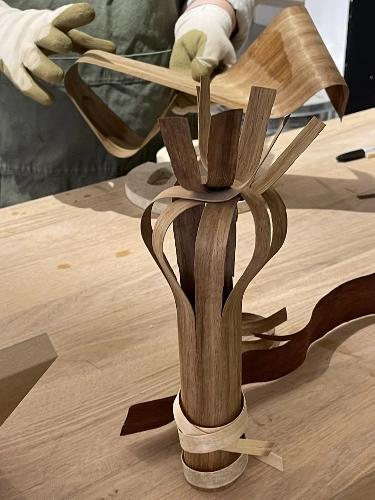 Multiple hot pipe bent timber strips in black bean, silver ash, jarrah and blackwood forming a sculptural composition in a workshop with Ross Annels at the JamFactory
