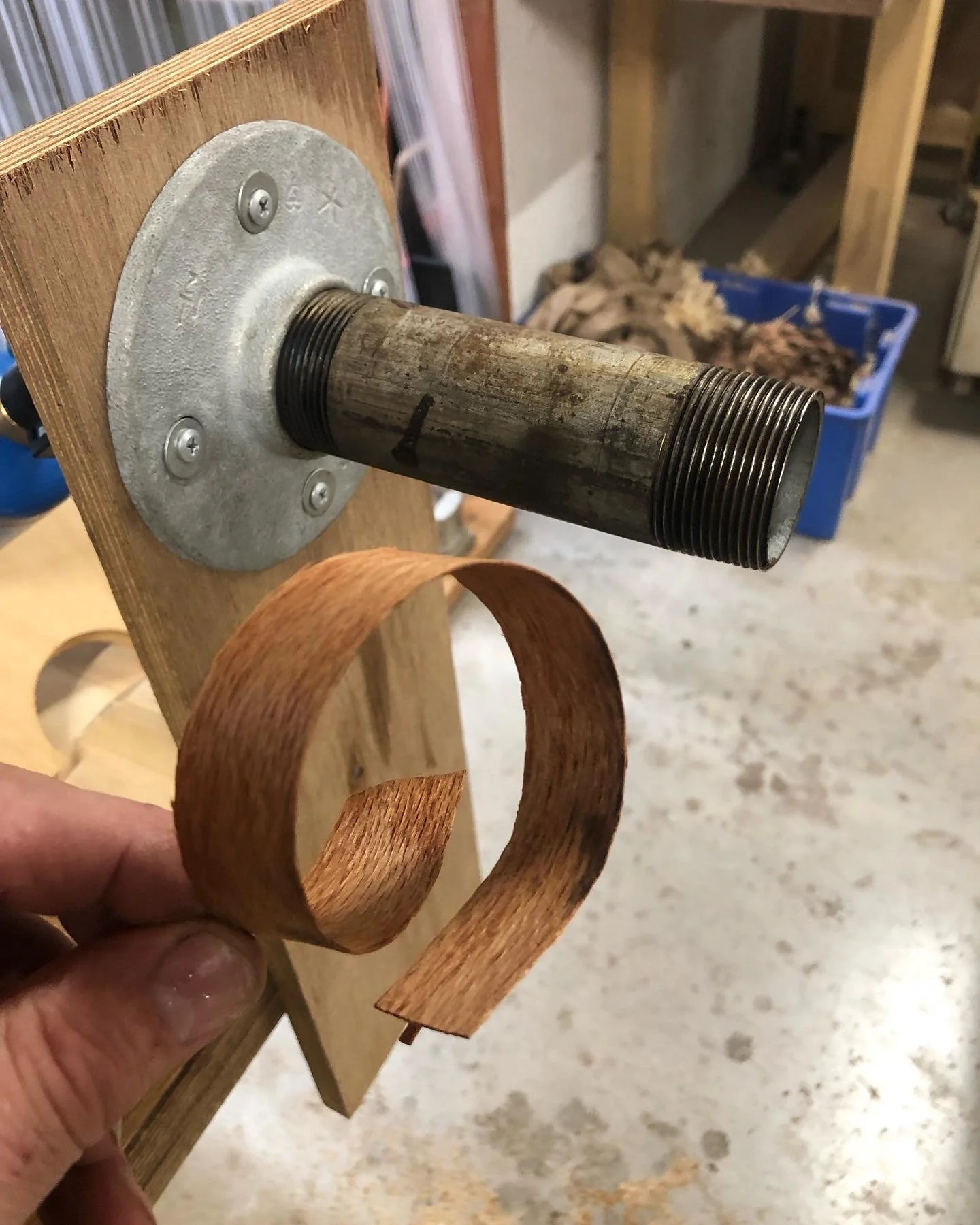 Thin silky oak strip bent into a tight curl around a hot pipe, demonstration by Ross Annels in his studio at Coolum Beach