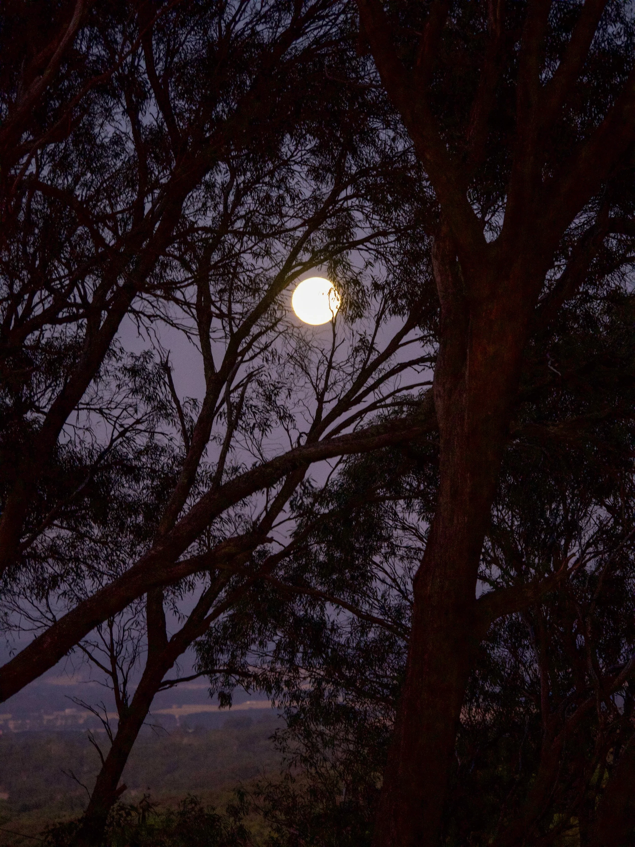 Moonlight at Moonlite Studios