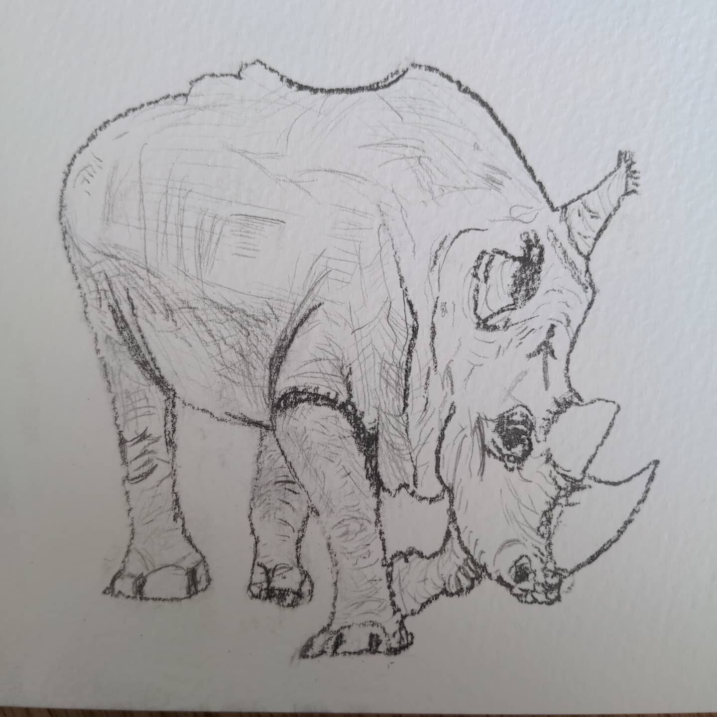 Sometimes it's hard to find the words to explain how you're feeling. Using a prompt can really help.
 Today I used &quot;If I were an animal what would I be&quot;. I drew a rhino. What would you be today? #counselling #creativeart #therapy #feelings