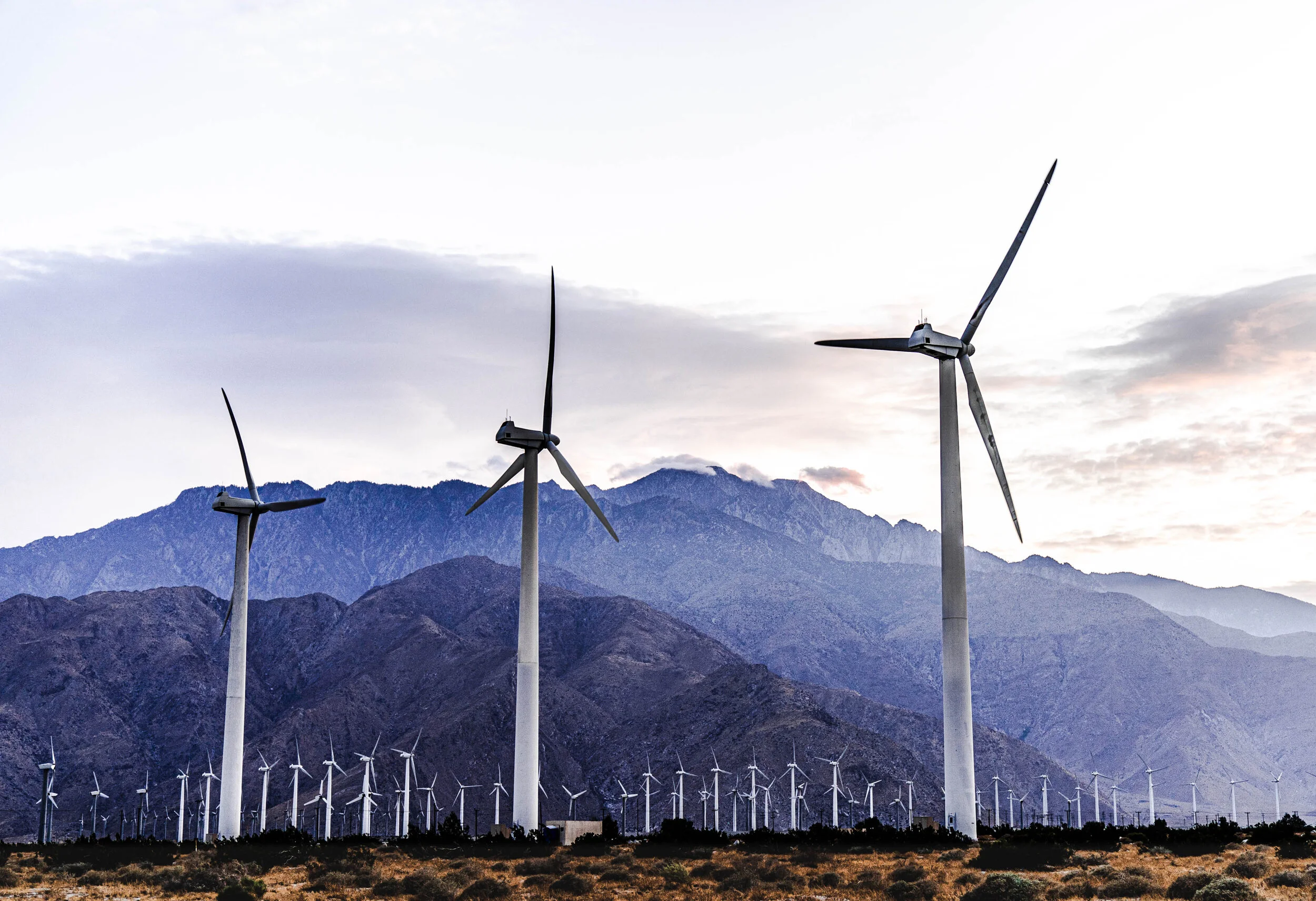 Windmills.jpg
