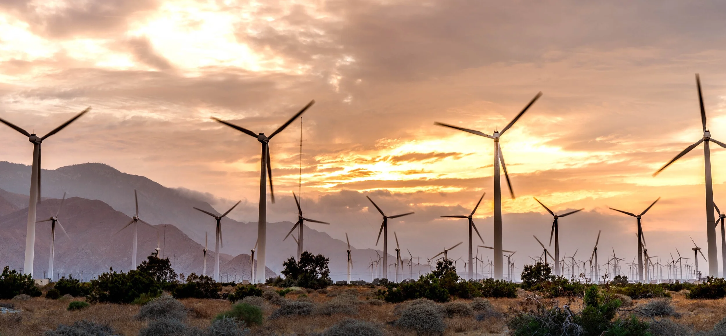 Windmills2.jpg