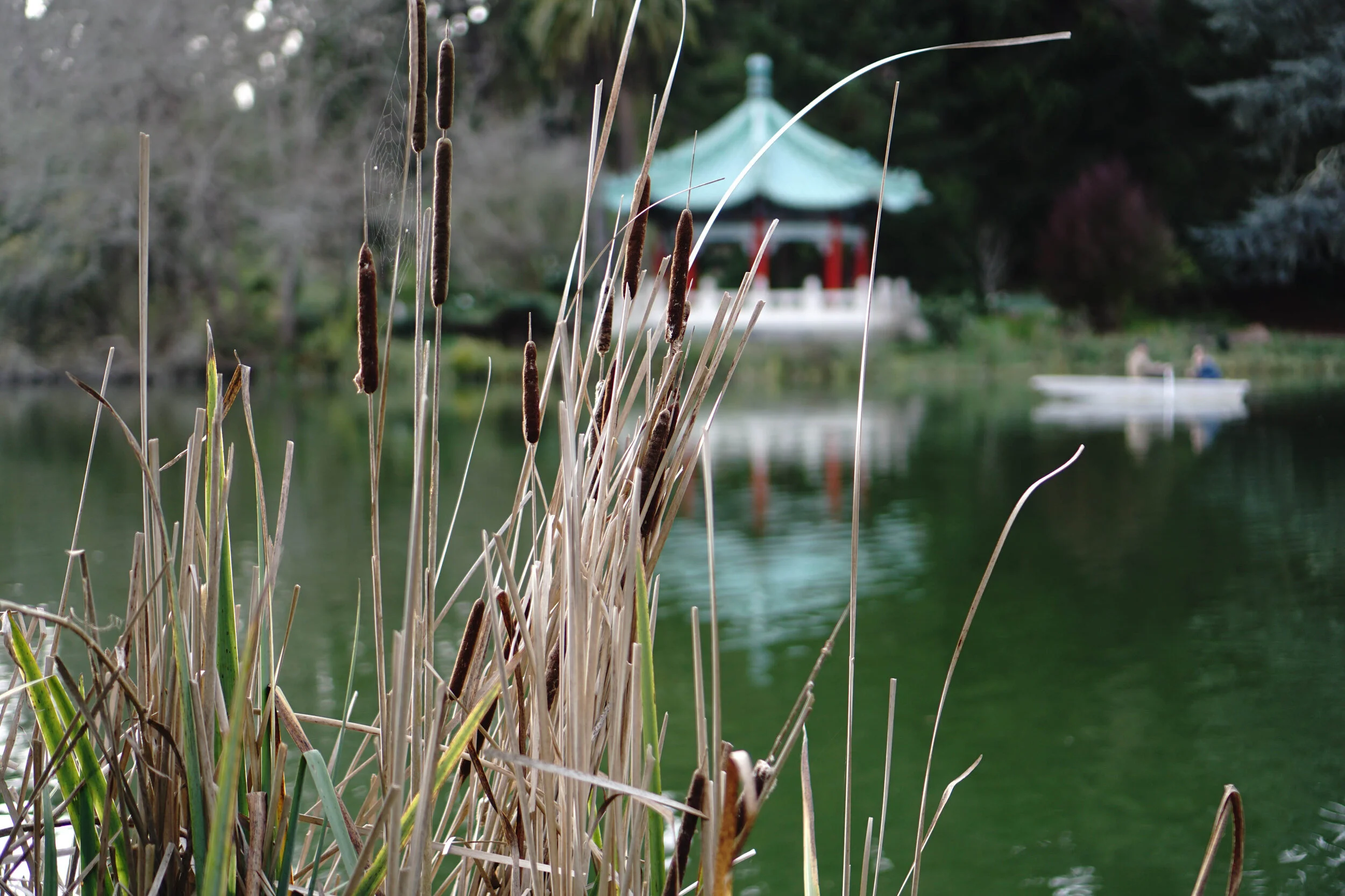 FloatingGazebo.jpg