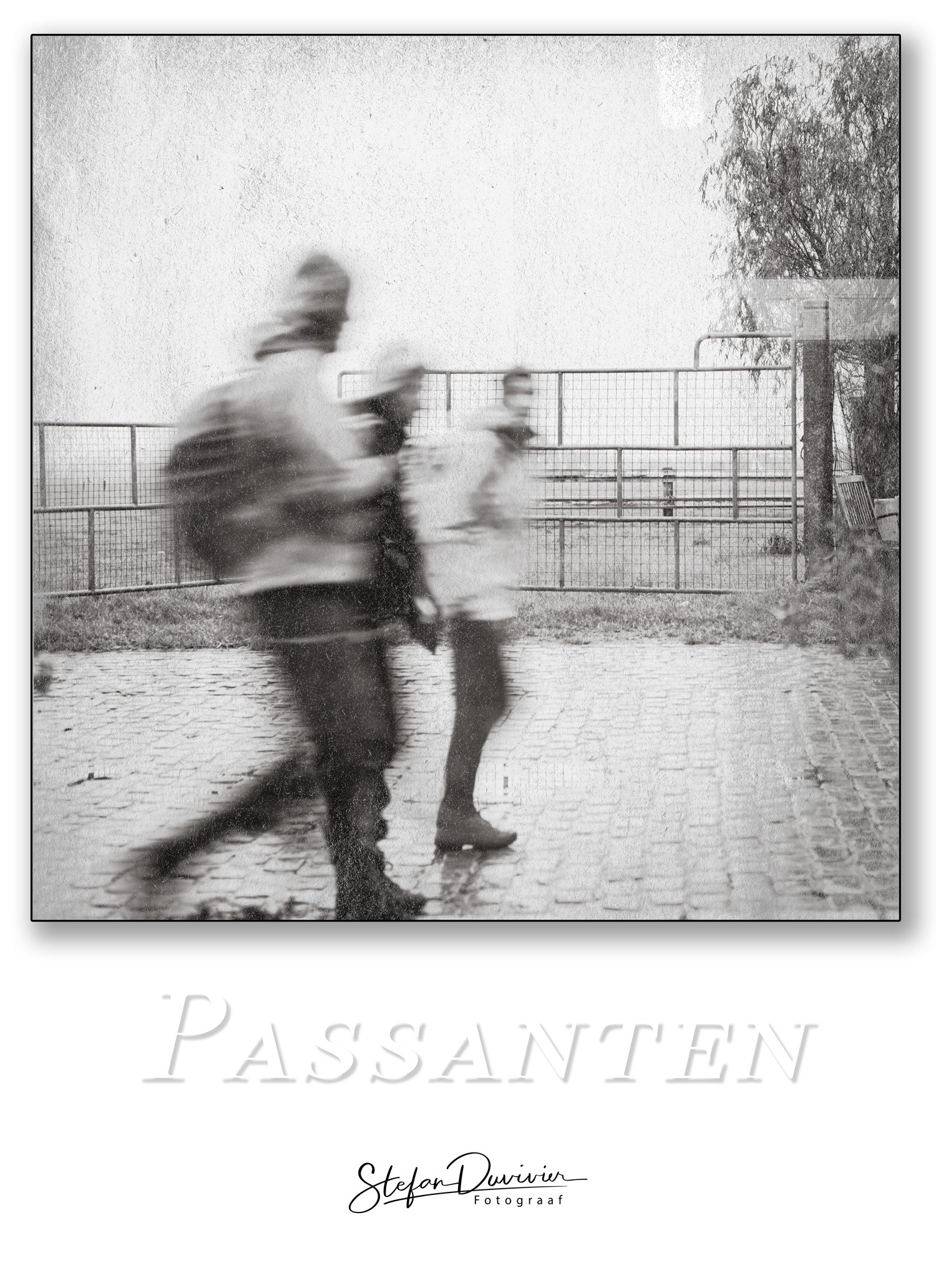 Pas2.jpg
