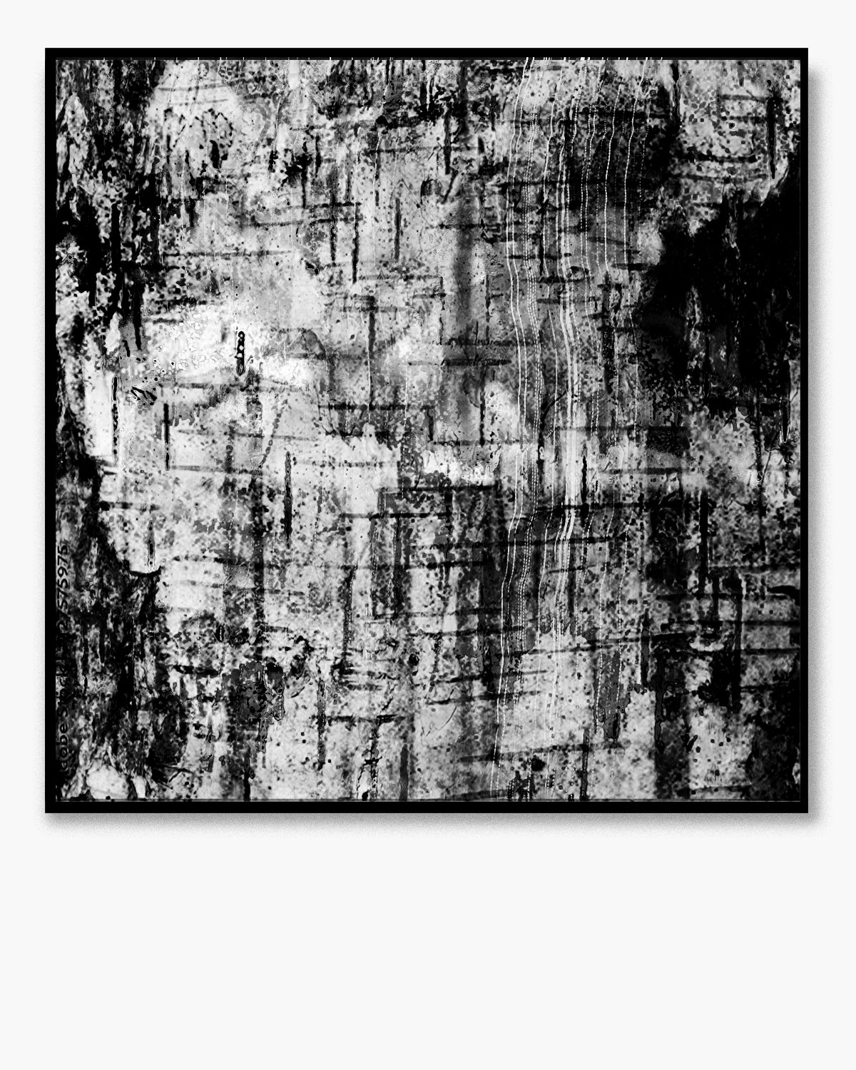 Birch Bark