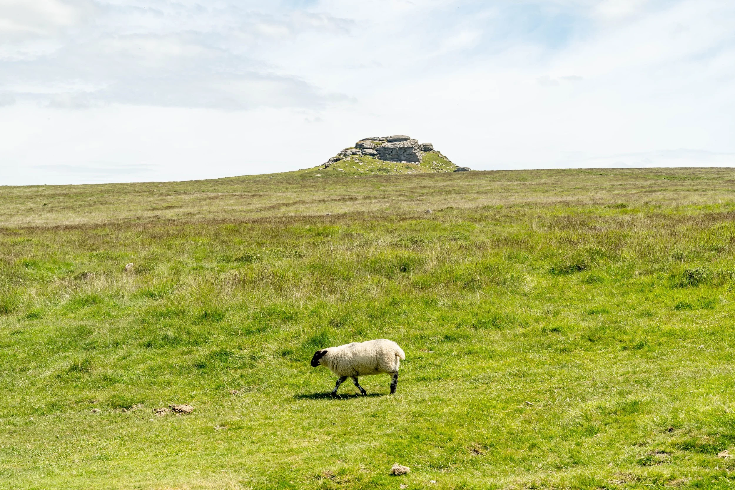 DARTMOOR/ENGLAND 2O23