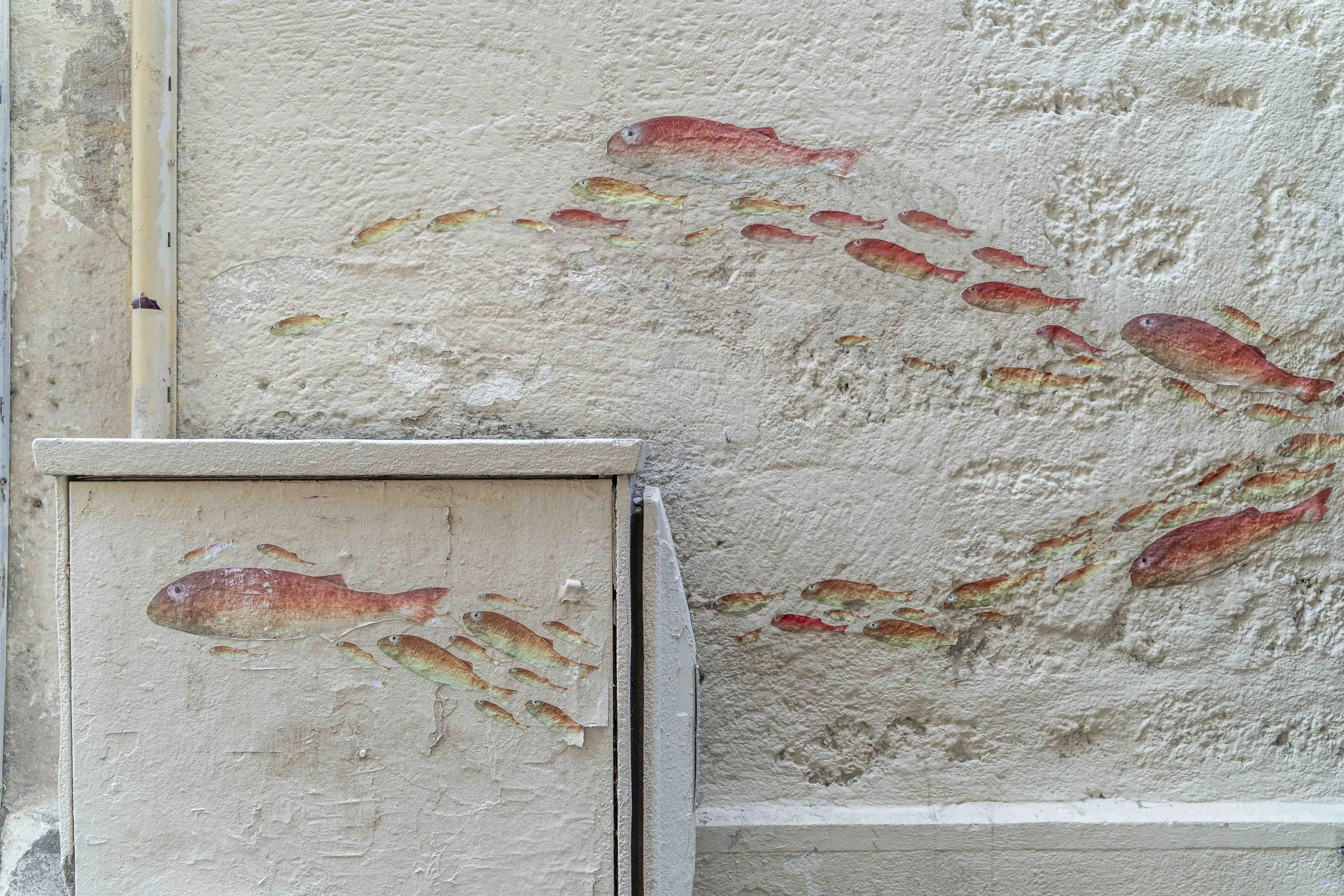 MONTPELLIER/FRANCE 2022