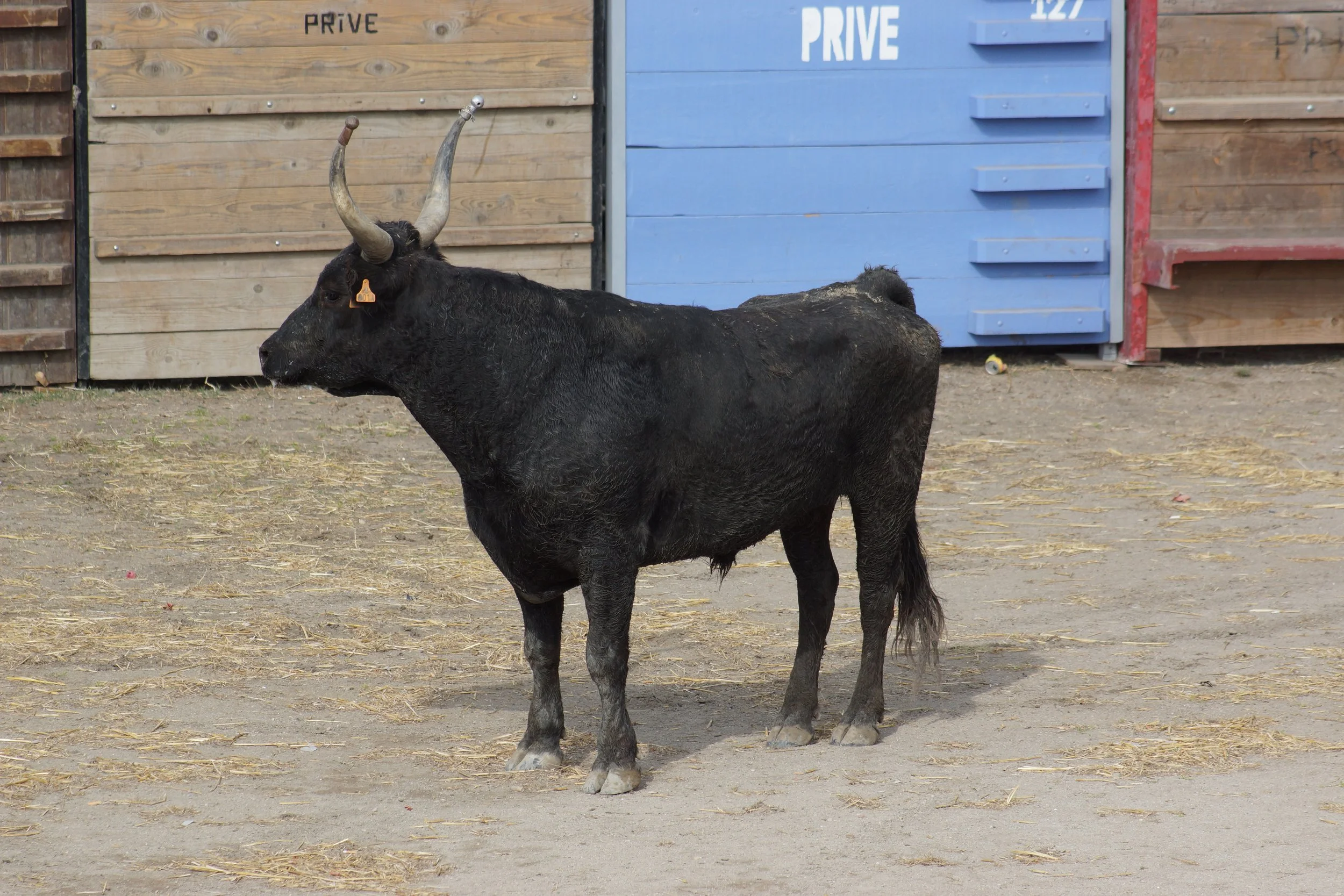 AIGUES-MORTEAS/FRANCE 2019