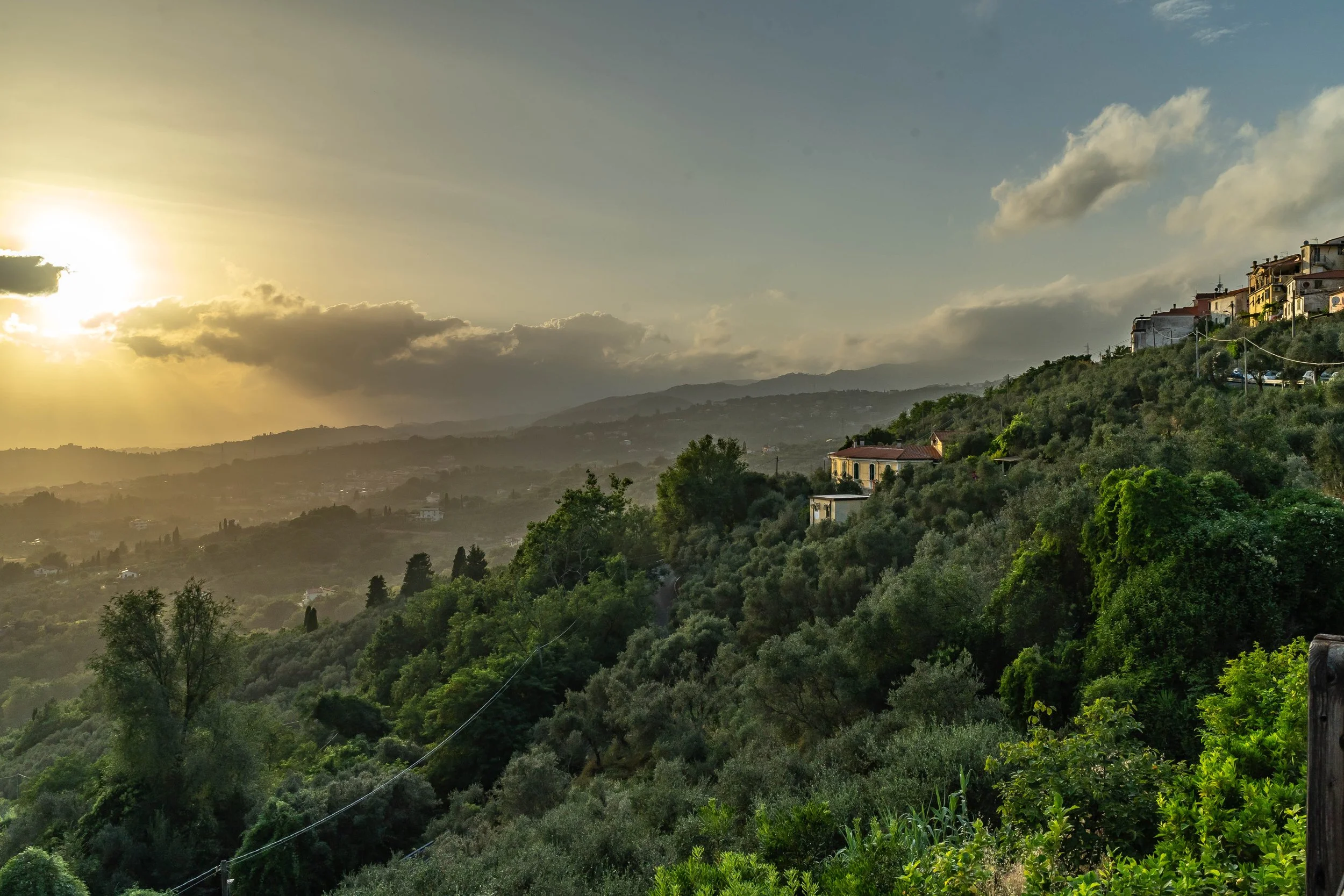 DSC01176-16 Kopie.jpg