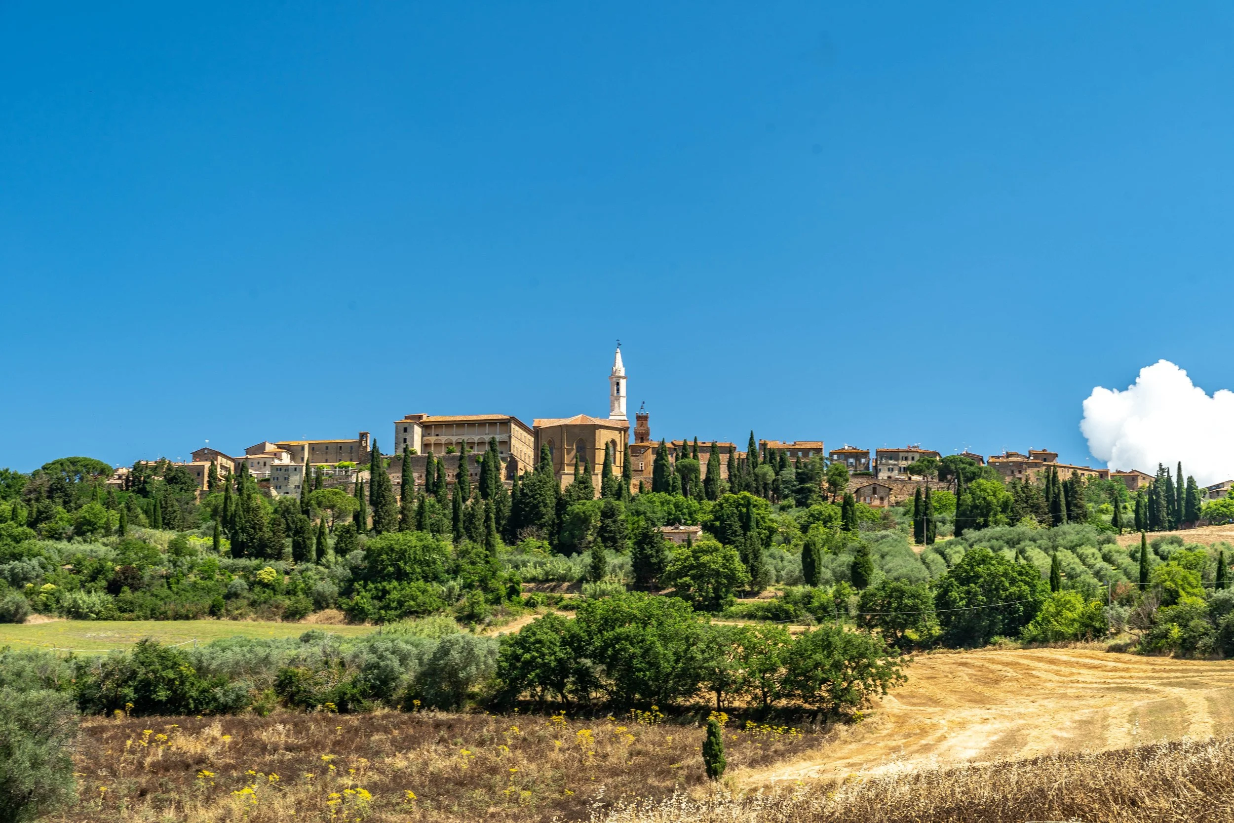 DSC01411-20 Kopie.jpg