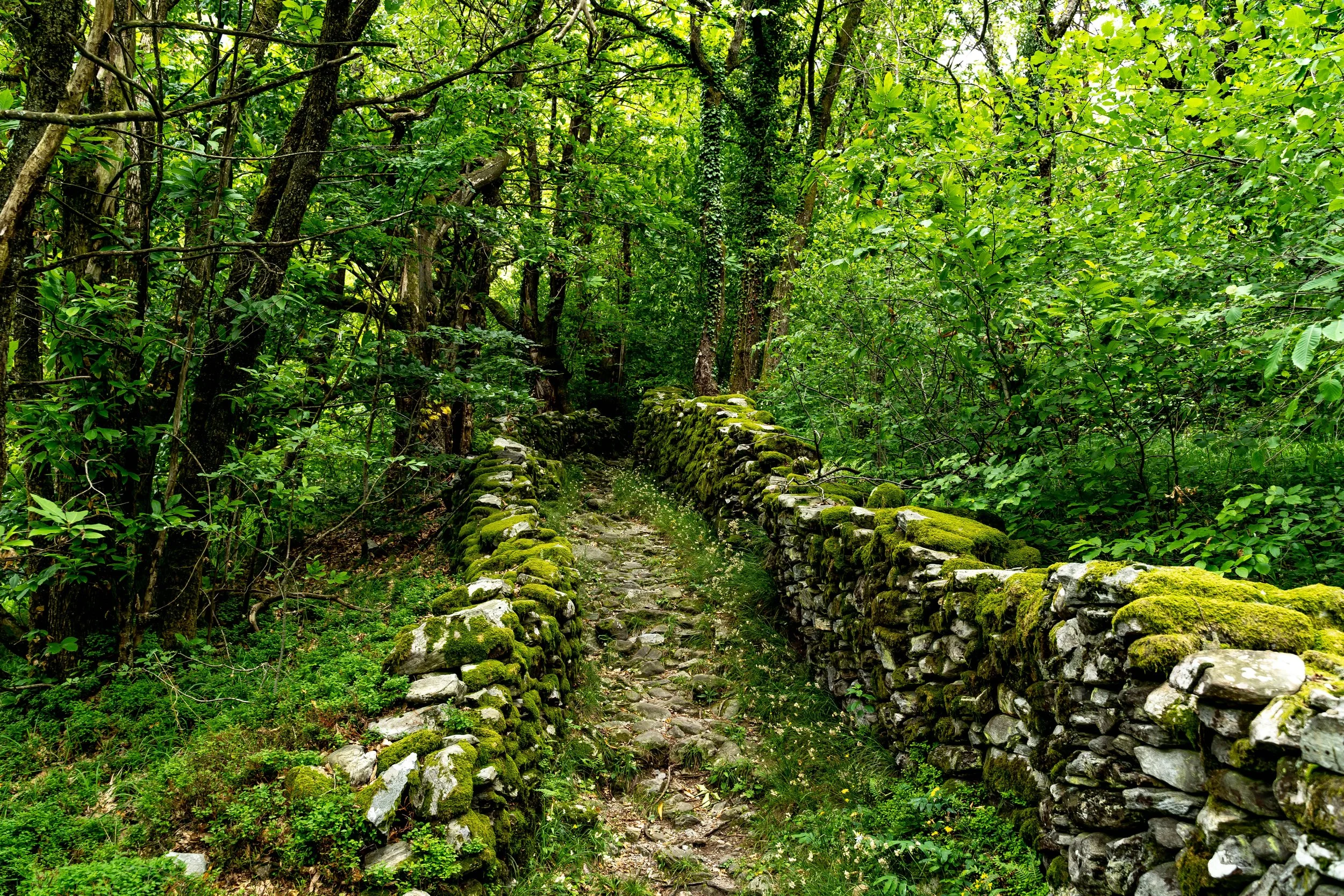 VALLE MAGGIA TI 2022