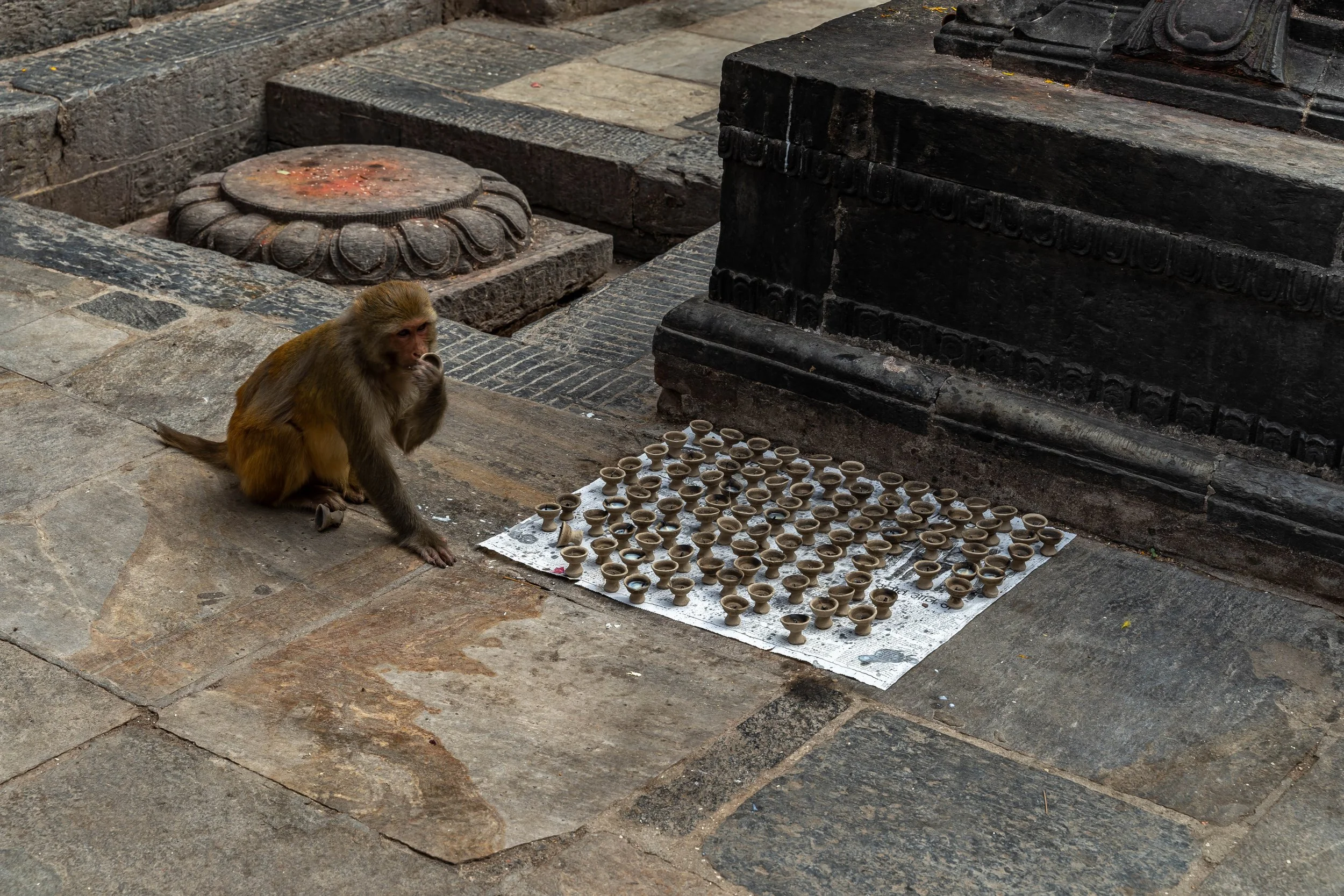 DSC07350-1.jpg