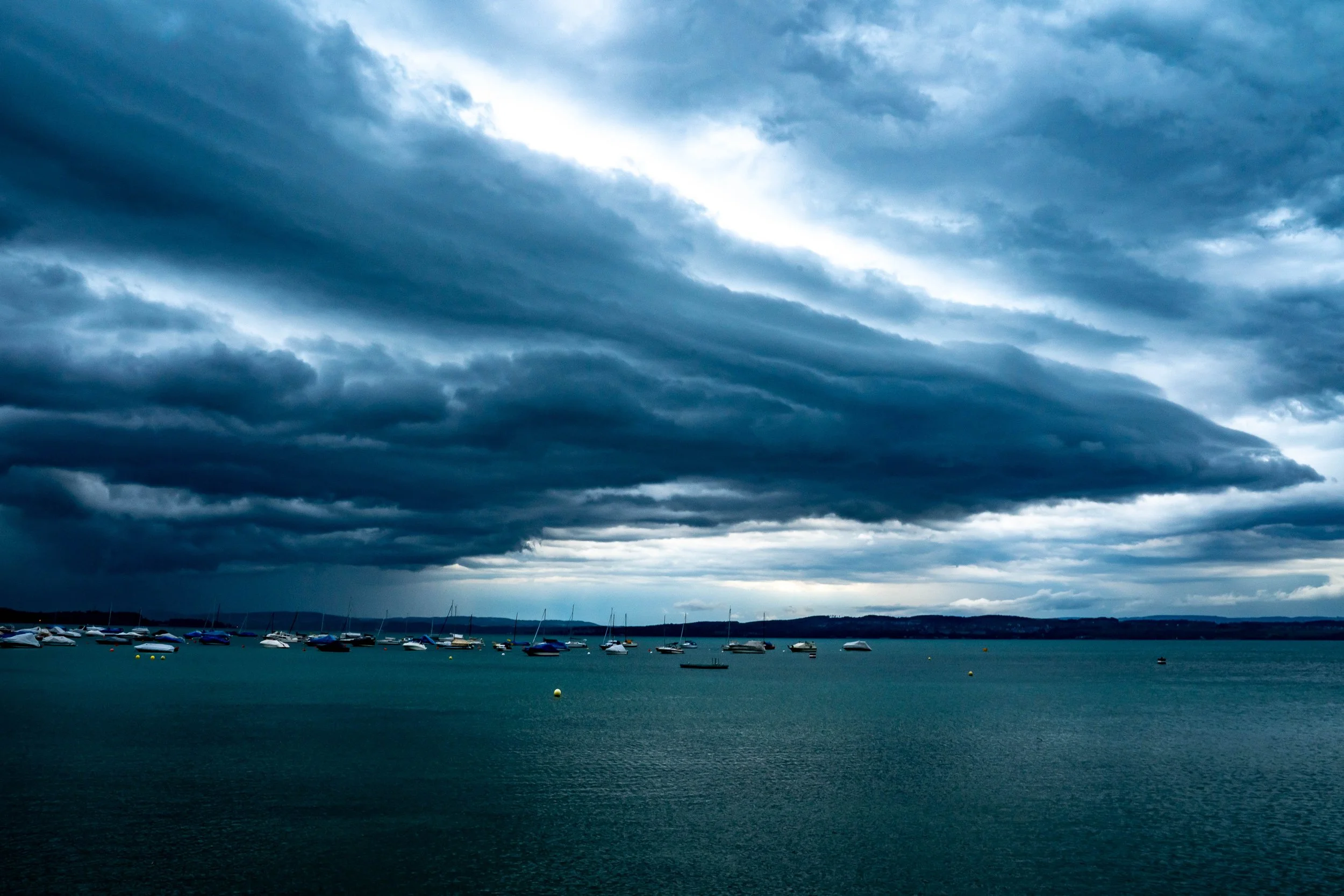 2019 landscape bnw-20.jpg