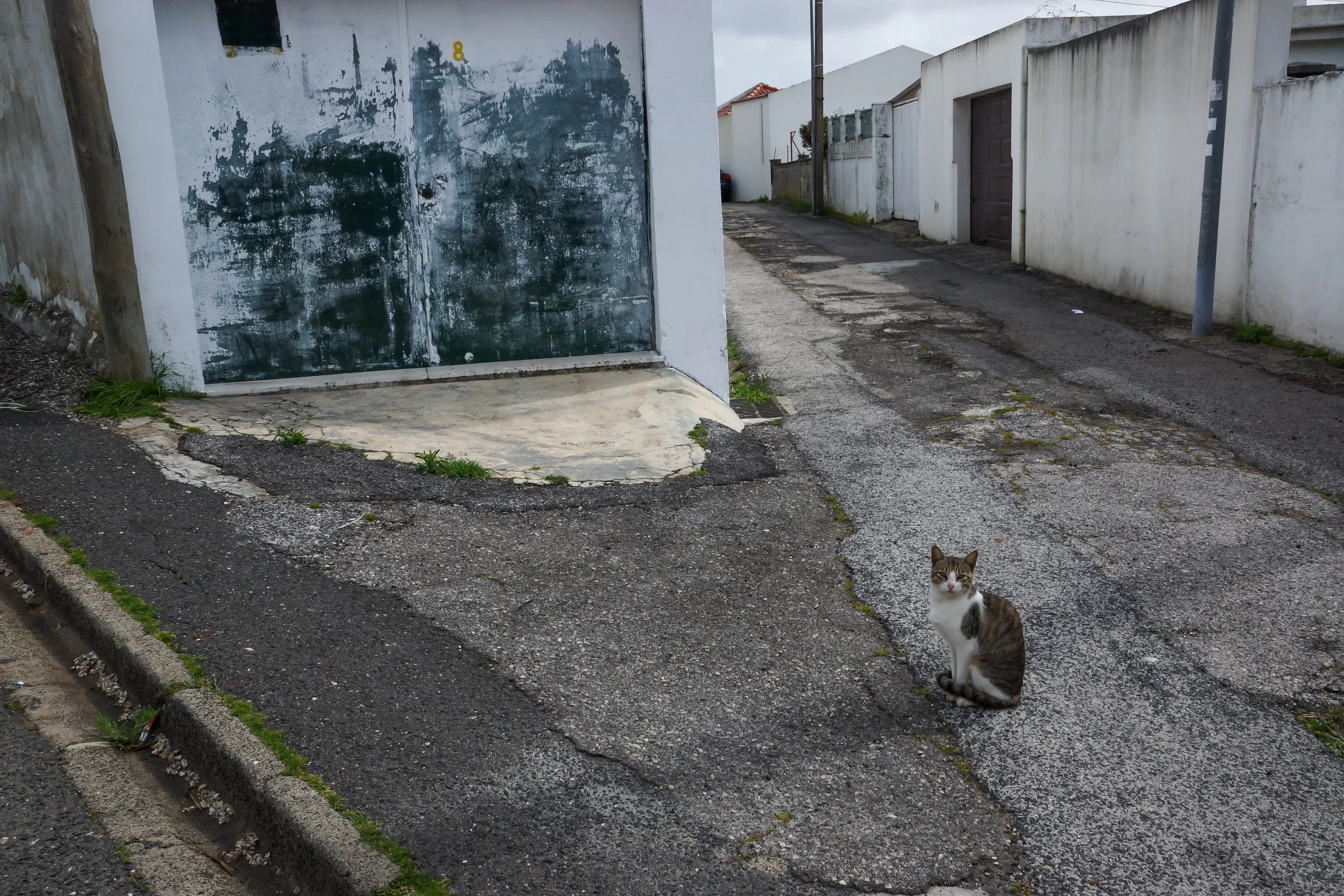 LISBOA/PORTUGAL 2016