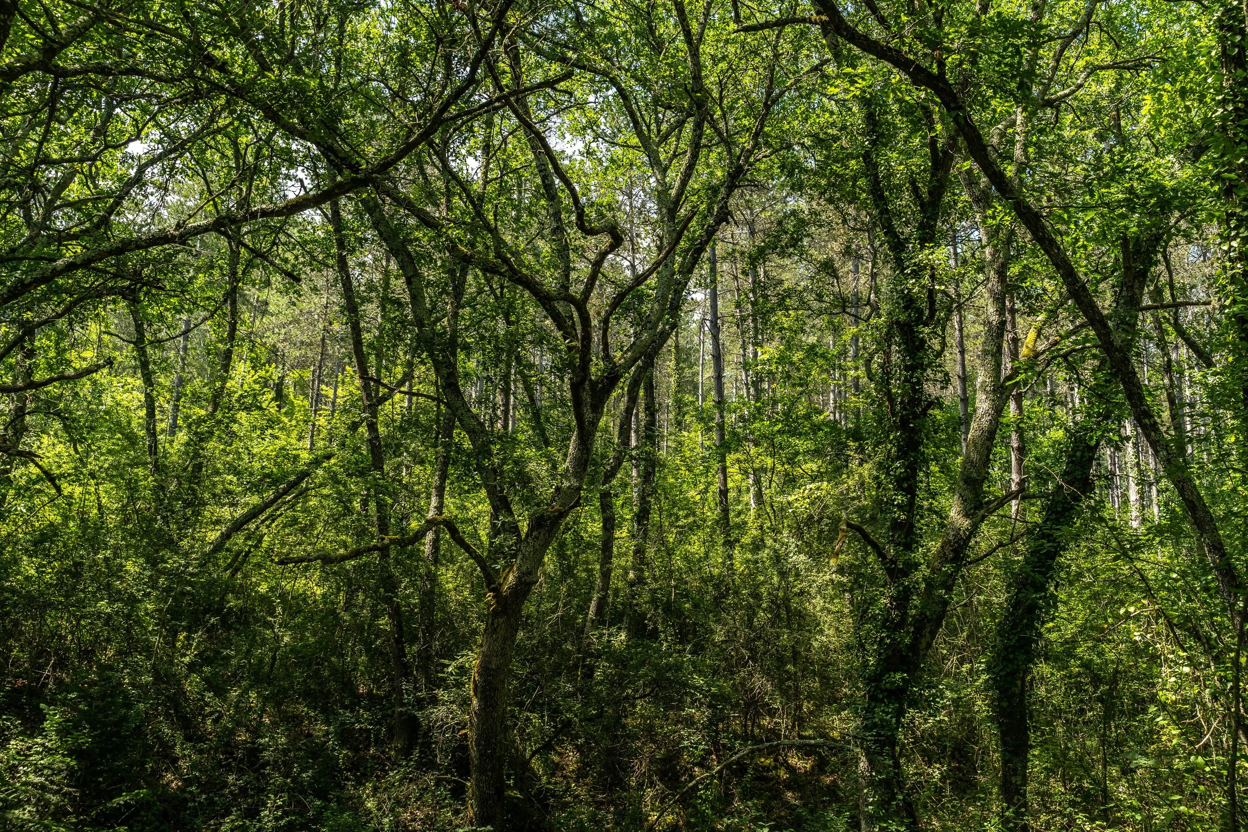 DSC00139 Kopie 2.jpg