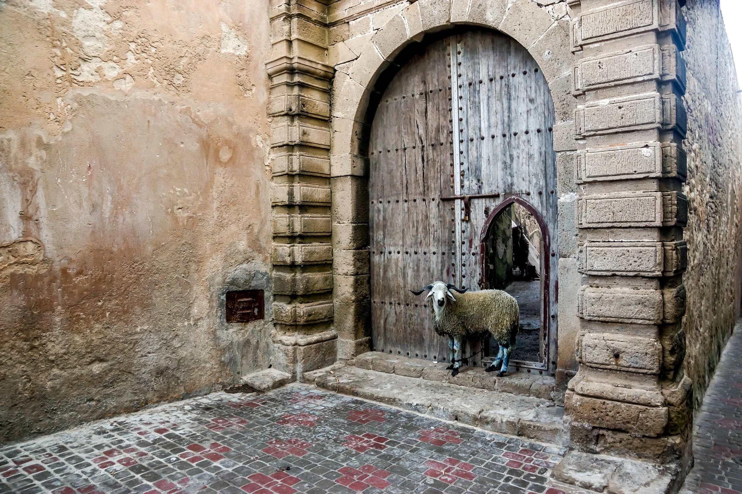 ESSAOUIRA/MAROCCO 2013