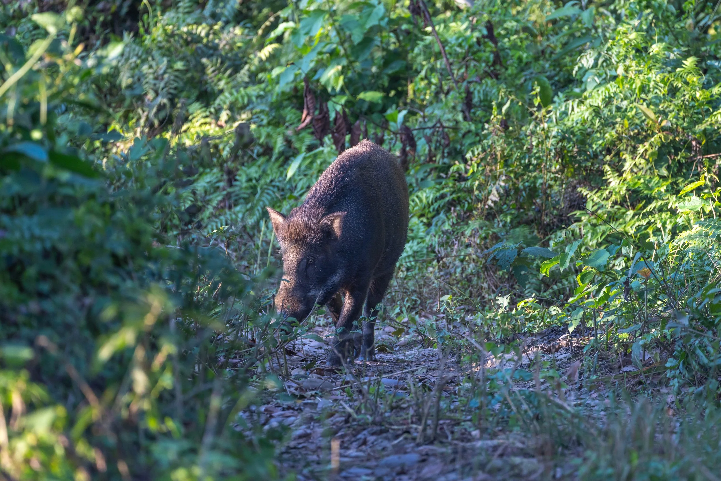 DSC09613 Kopie 2.jpg