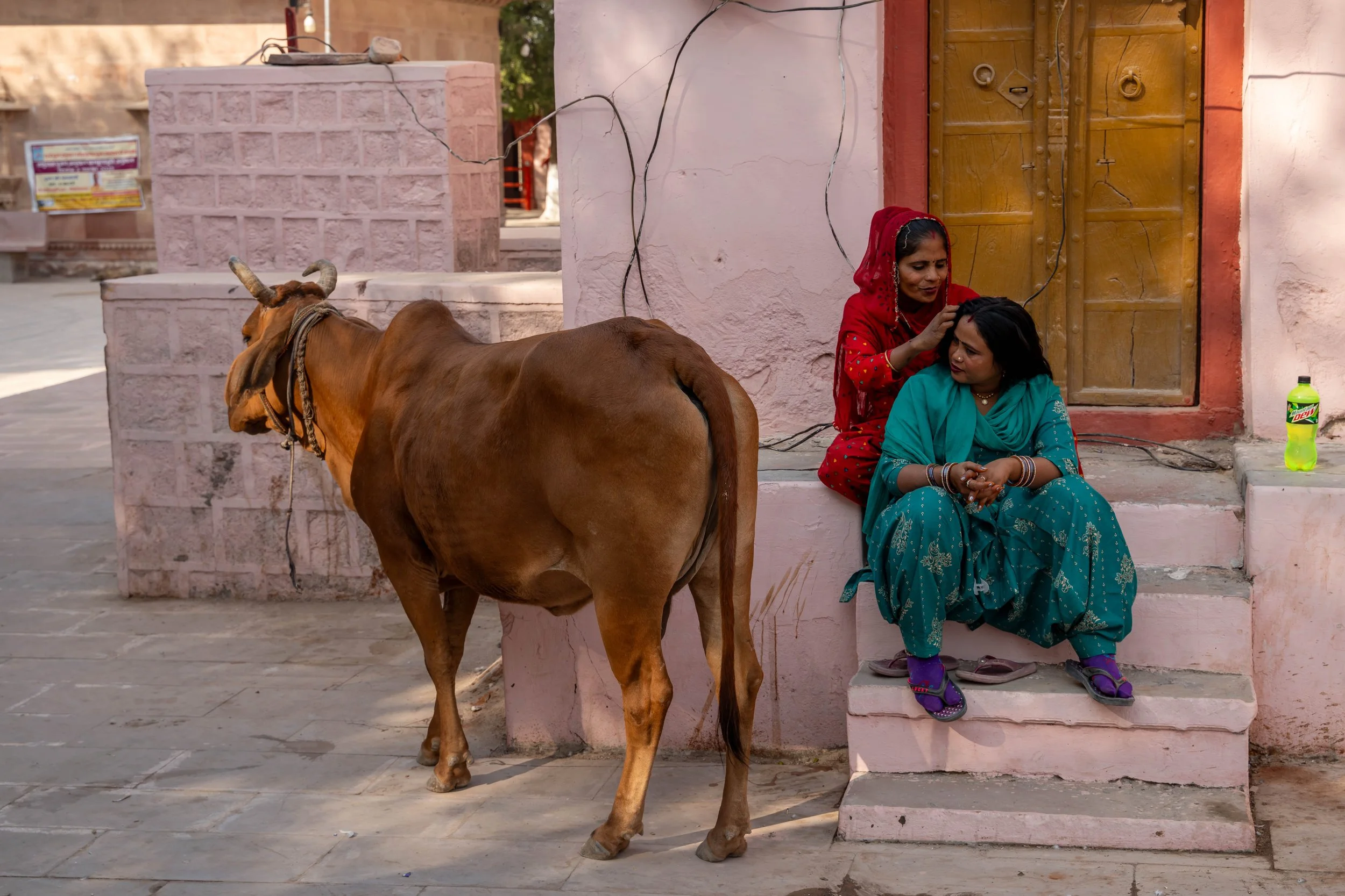 RAJASTHAN/INDIA 2025