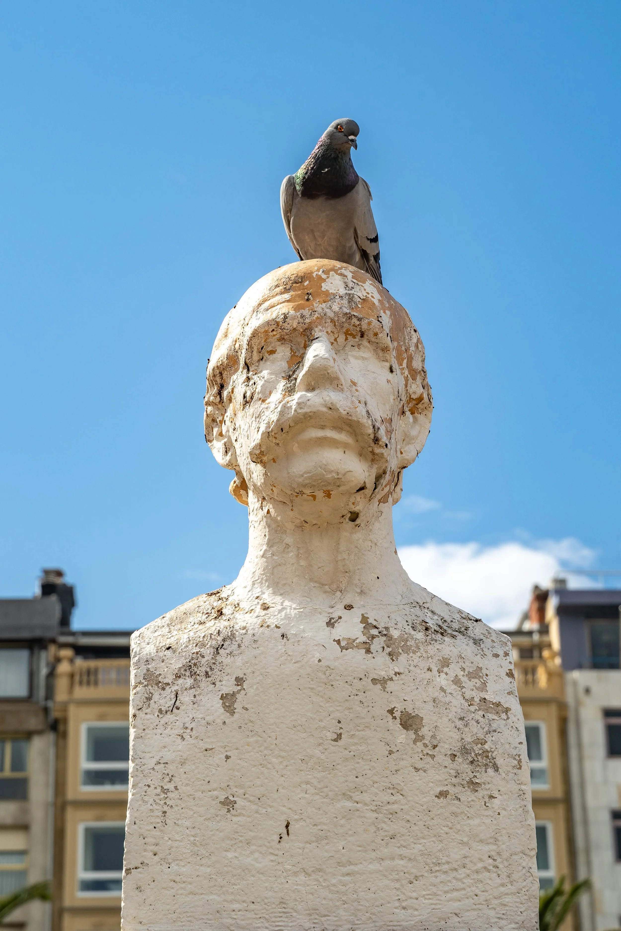 SAN SBASTIAN/SPAIN 2021