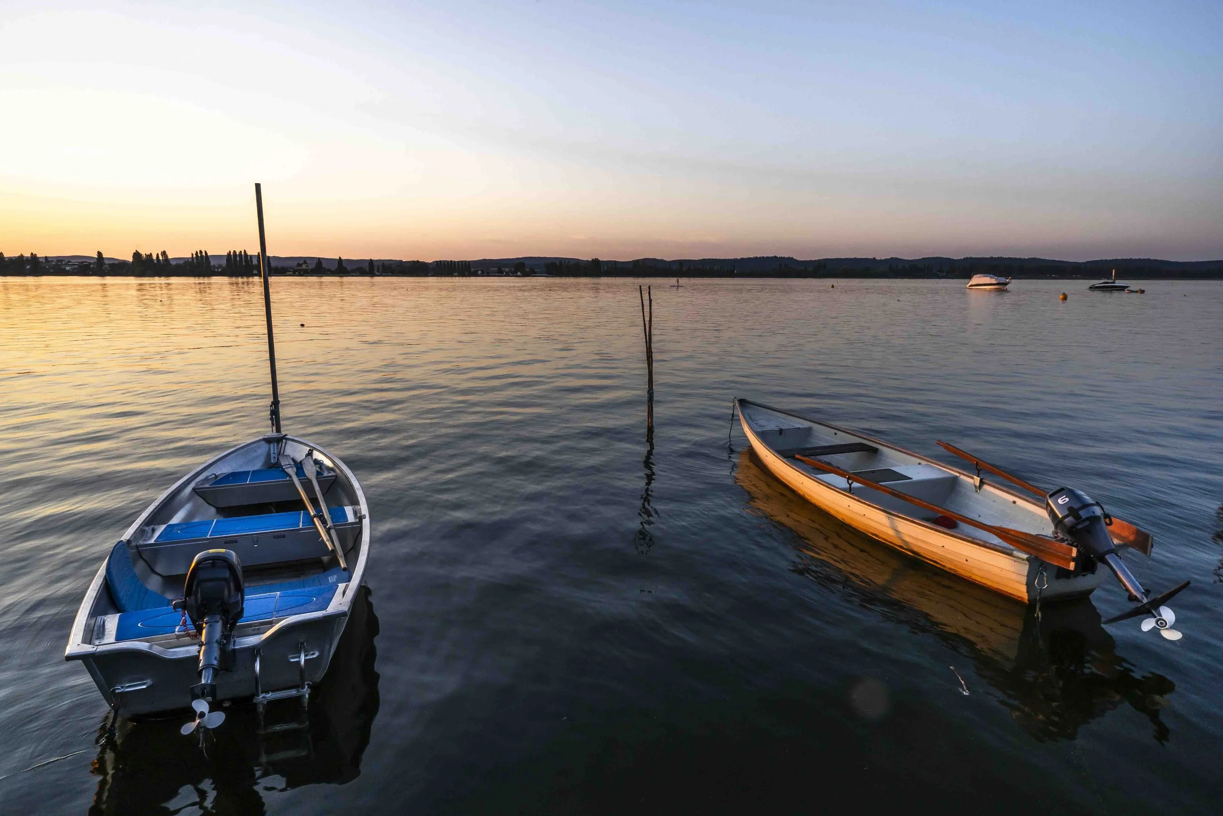 2019 Sommer-046-1.jpg