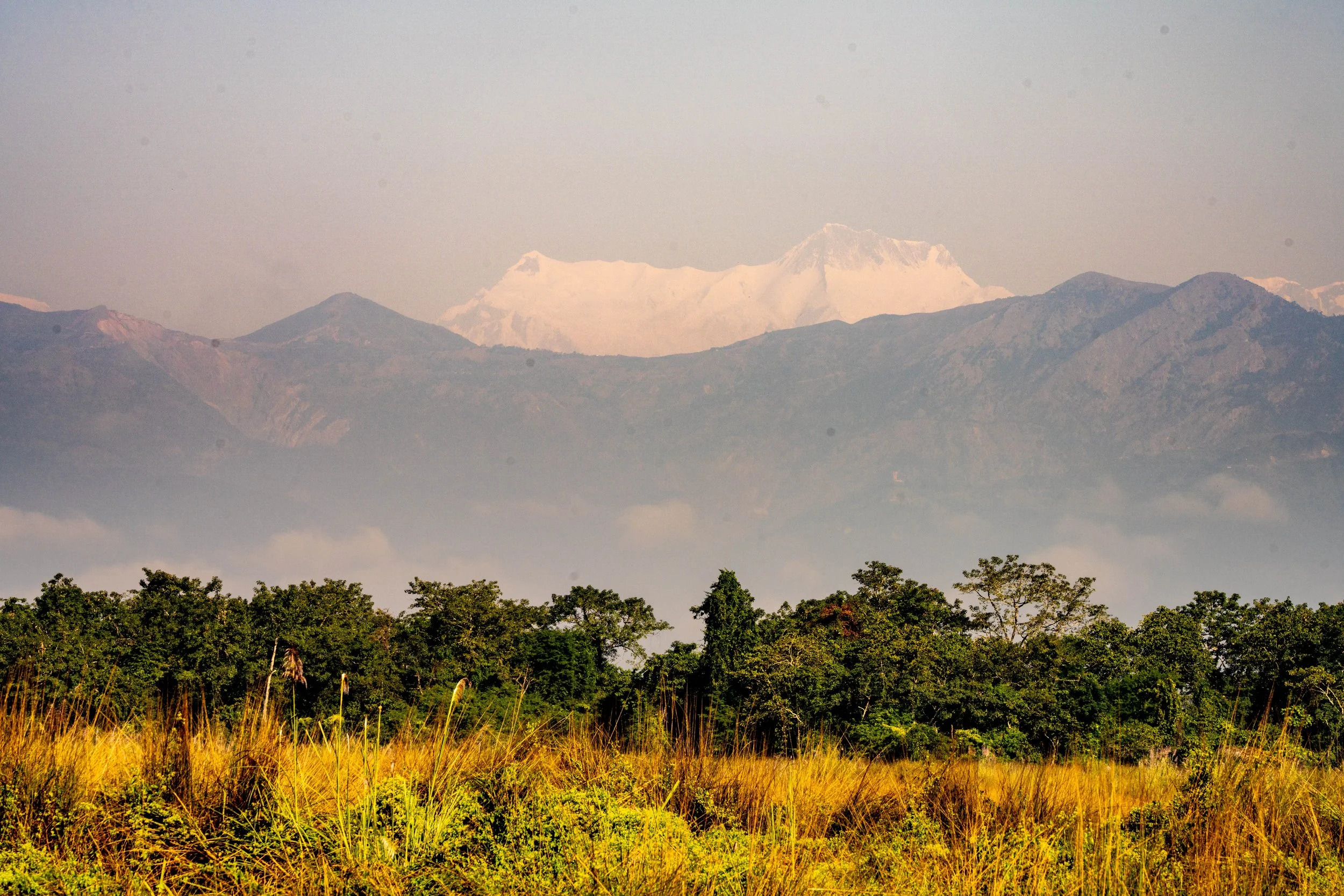 DSC08989 Kopie 2.jpg