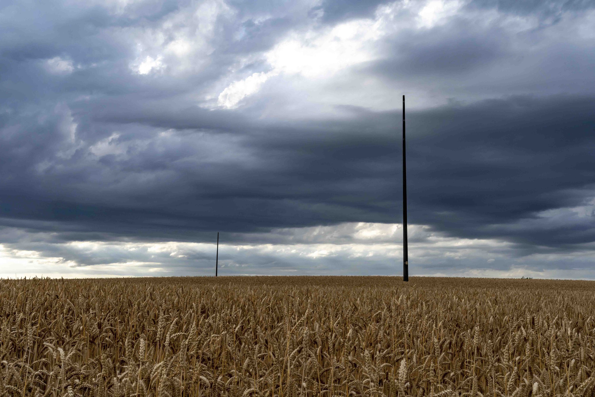 LANZENNEUNFORN TG 2022