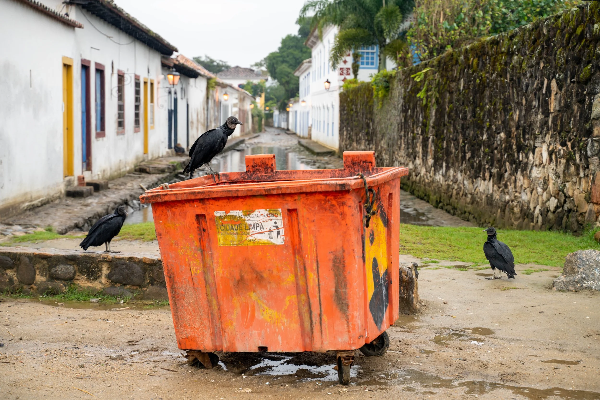 PARATY BRASIL 3036