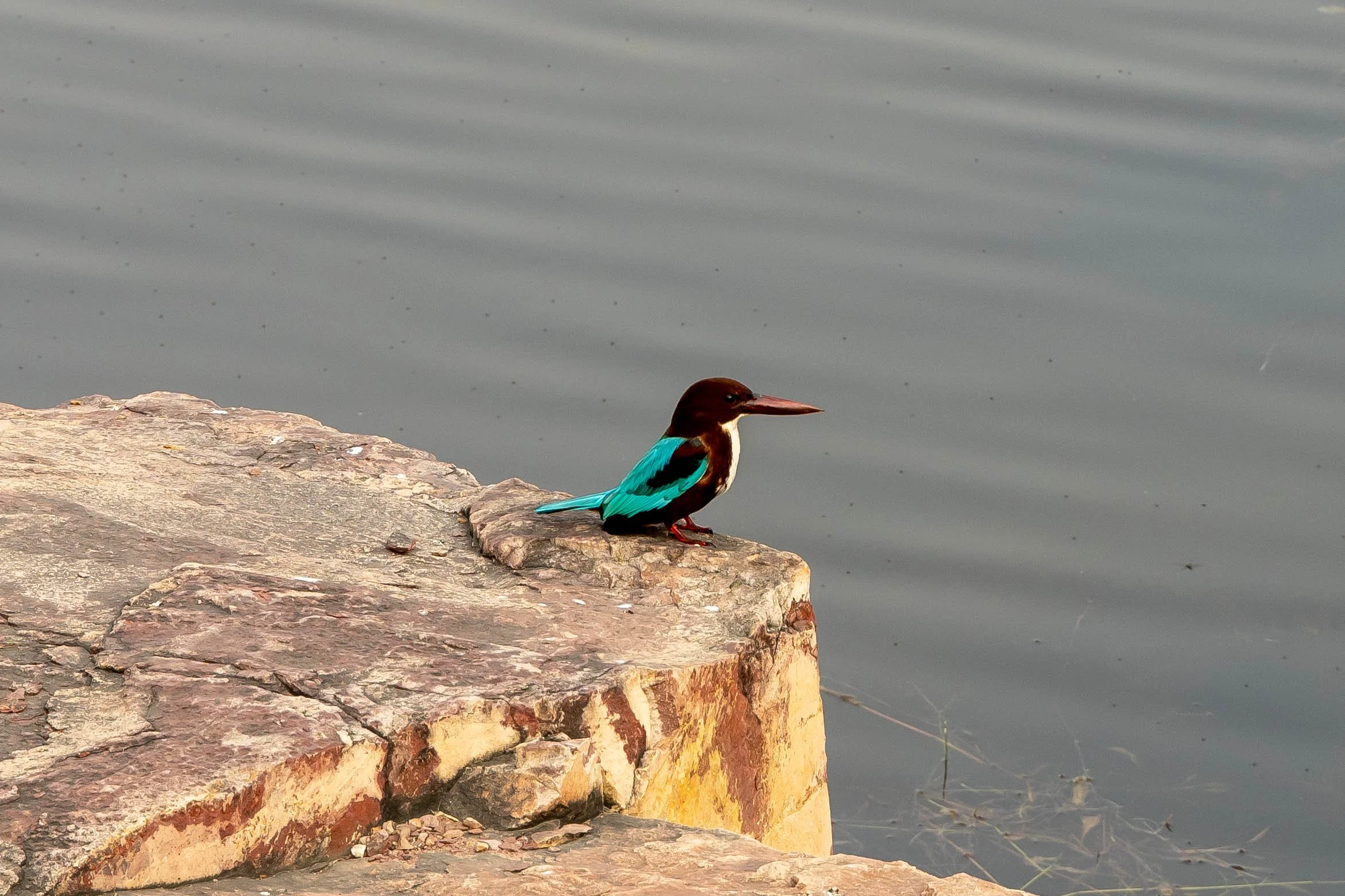 DSC00603 Kopie 2.jpg