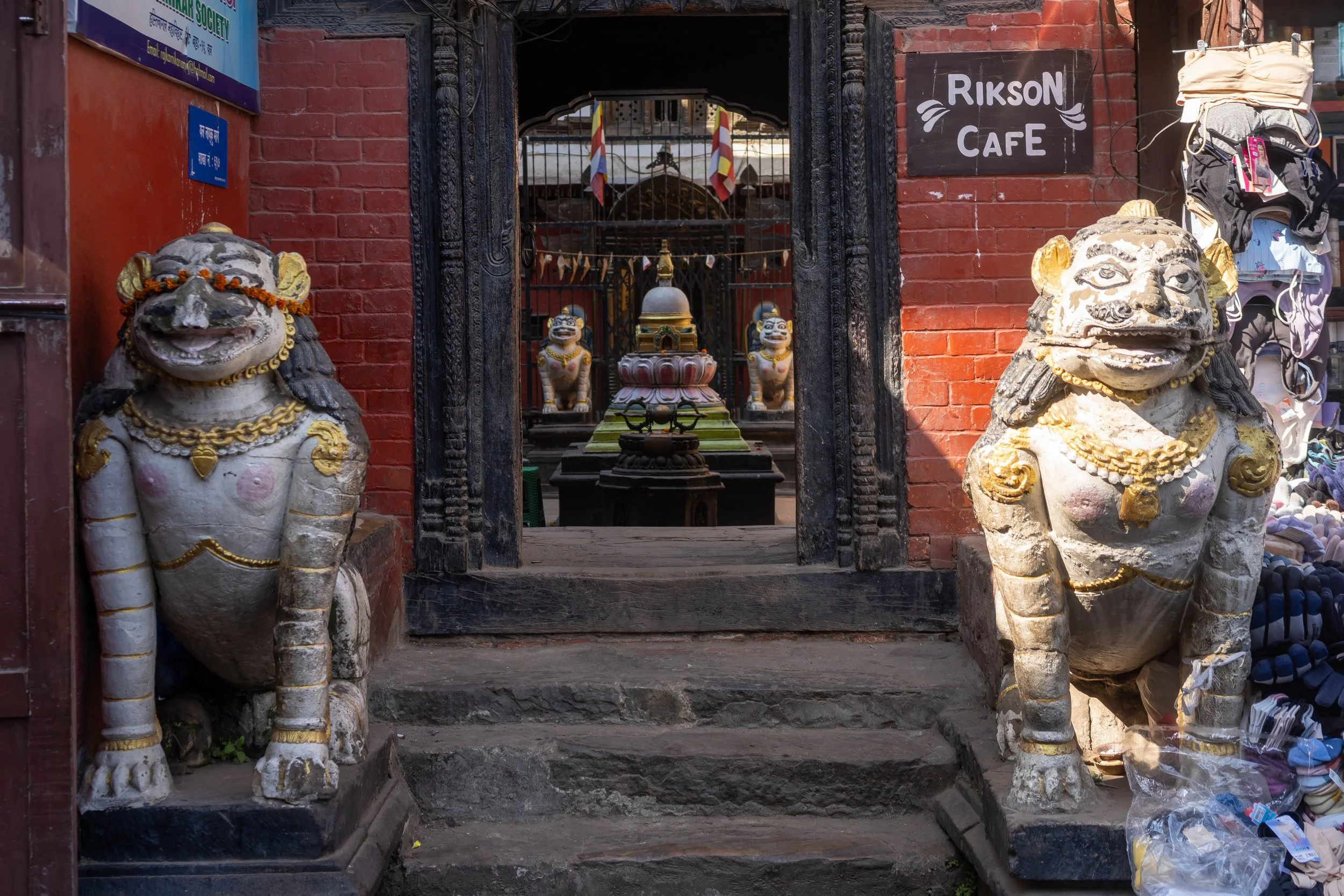 DSC09848 Kopie 2.jpg