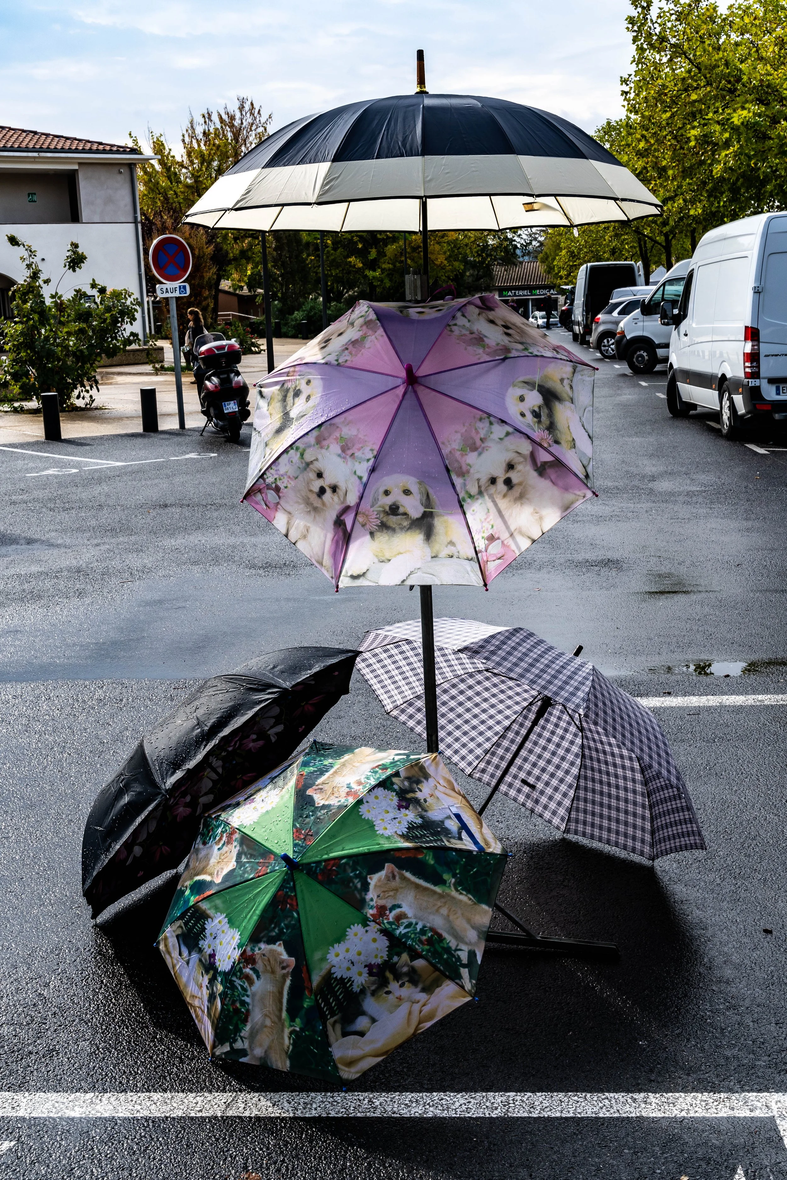 2019 Street colours-40.jpg