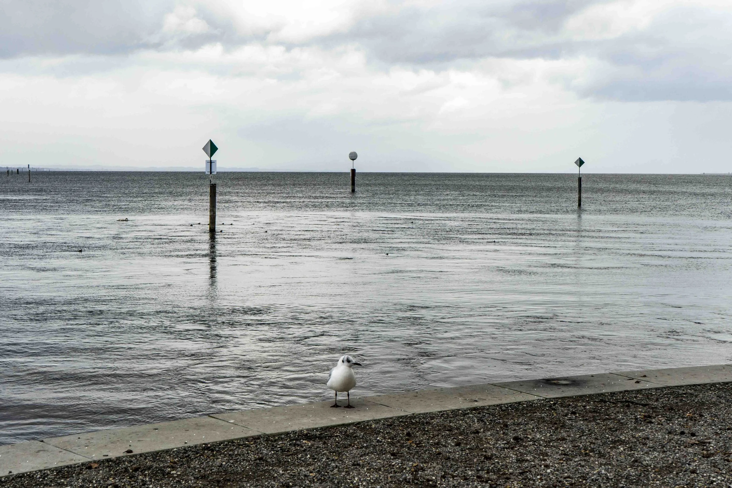 2019 music bnm-2-1.jpg