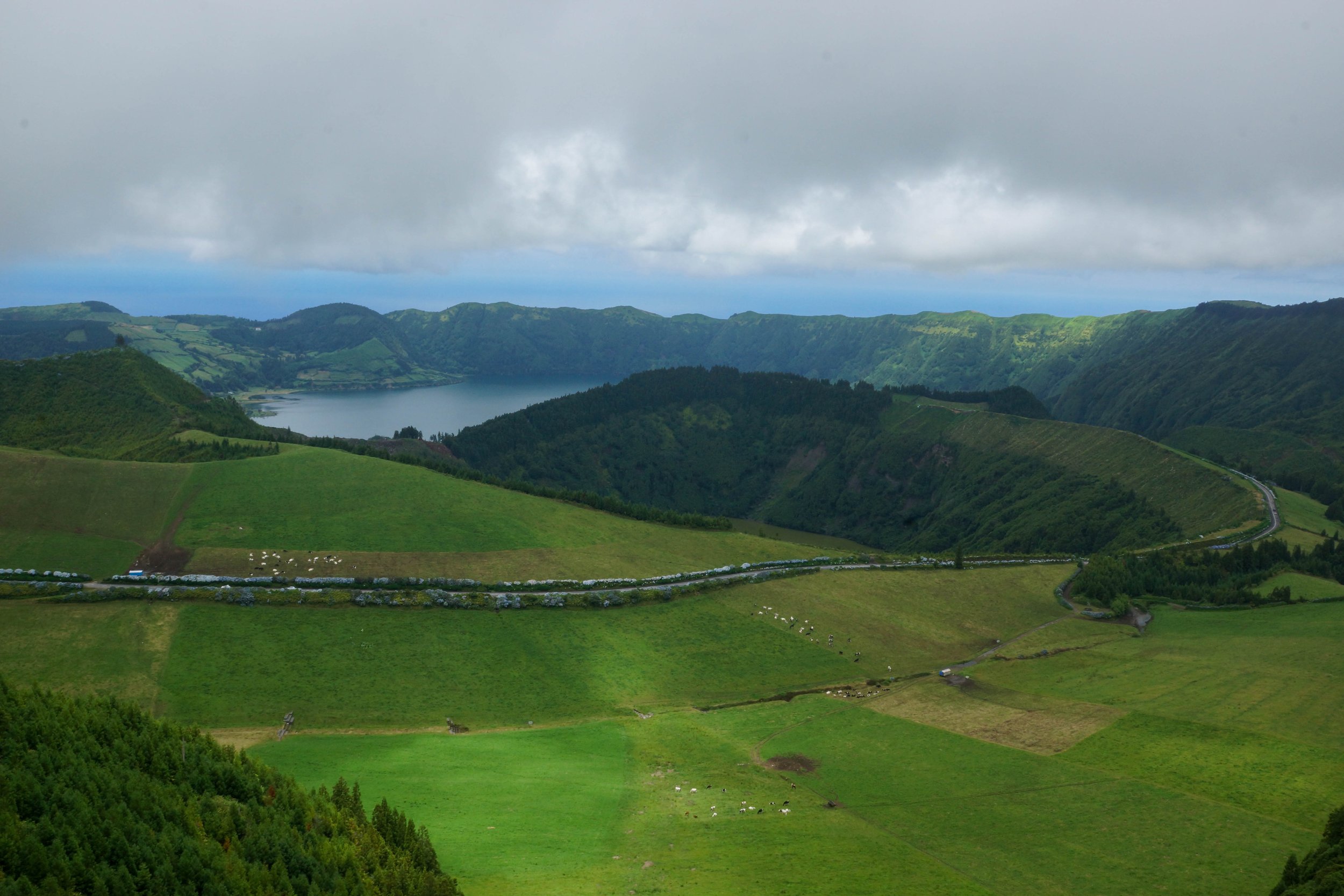 DSC05802.jpg